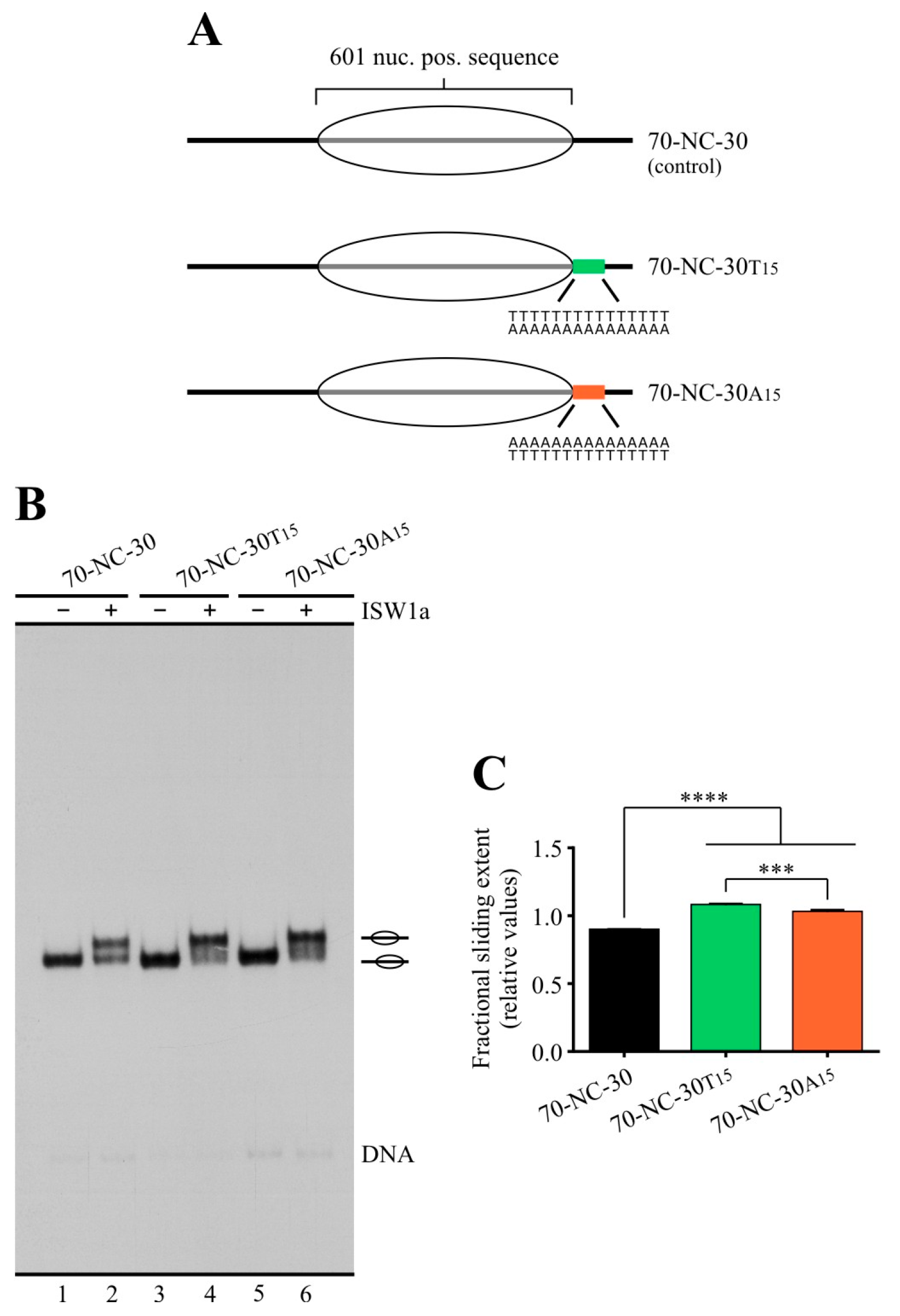 Ijms 24 15245 g005 Ijms 24 15245 g005