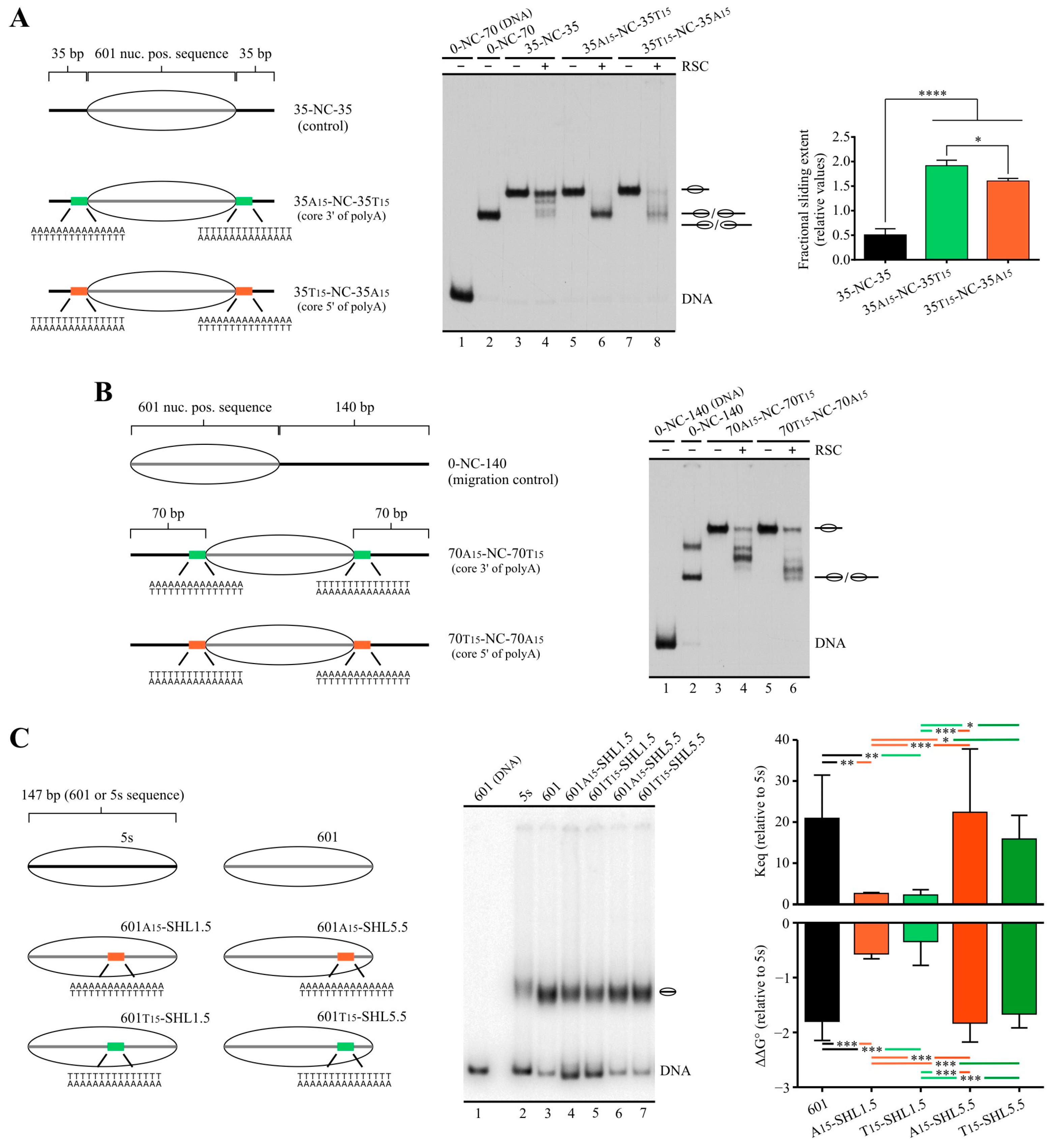 Ijms 24 15245 g006 Ijms 24 15245 g006