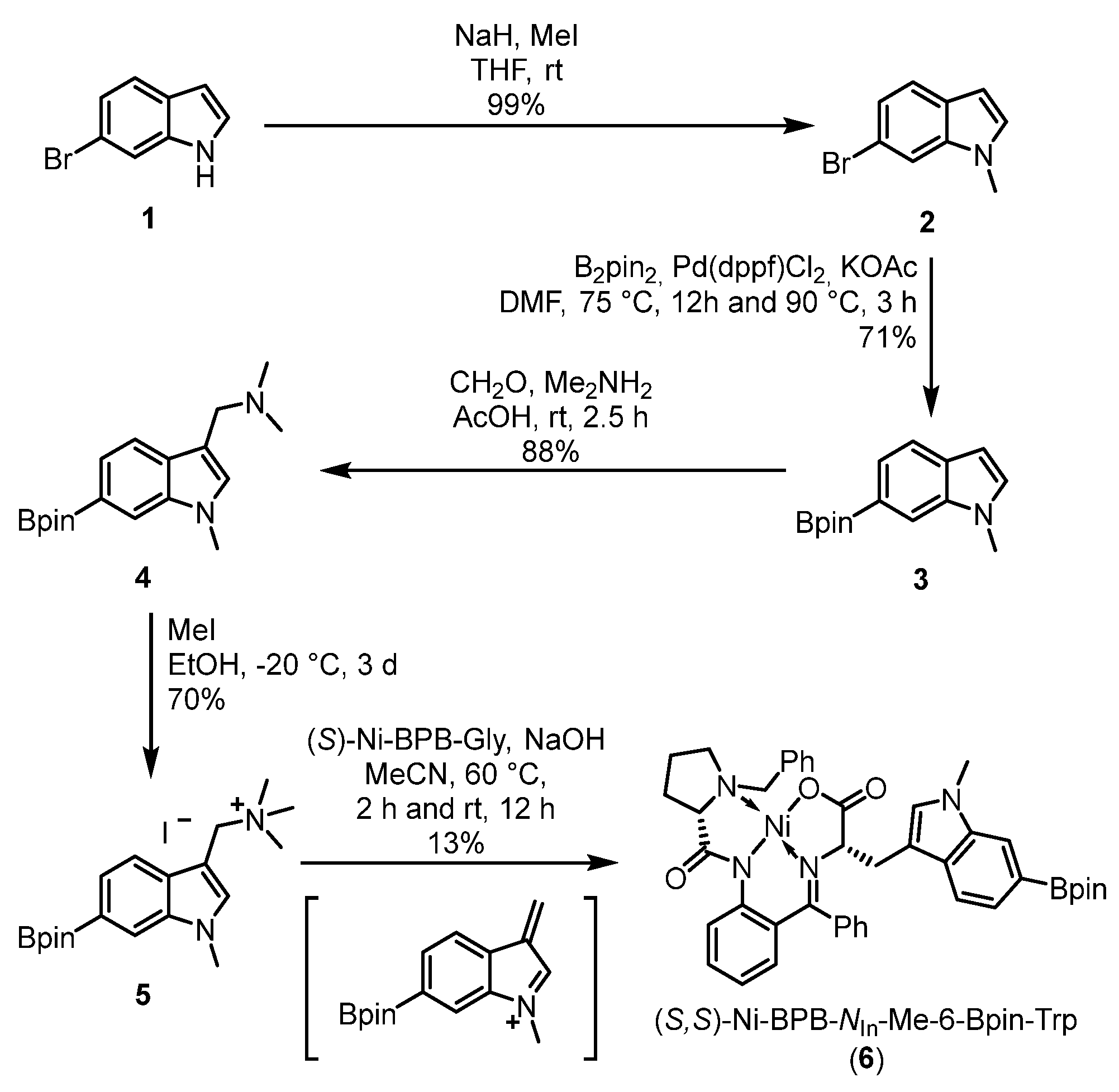 Ijms 24 15251 sch001 Ijms 24 15251 sch001