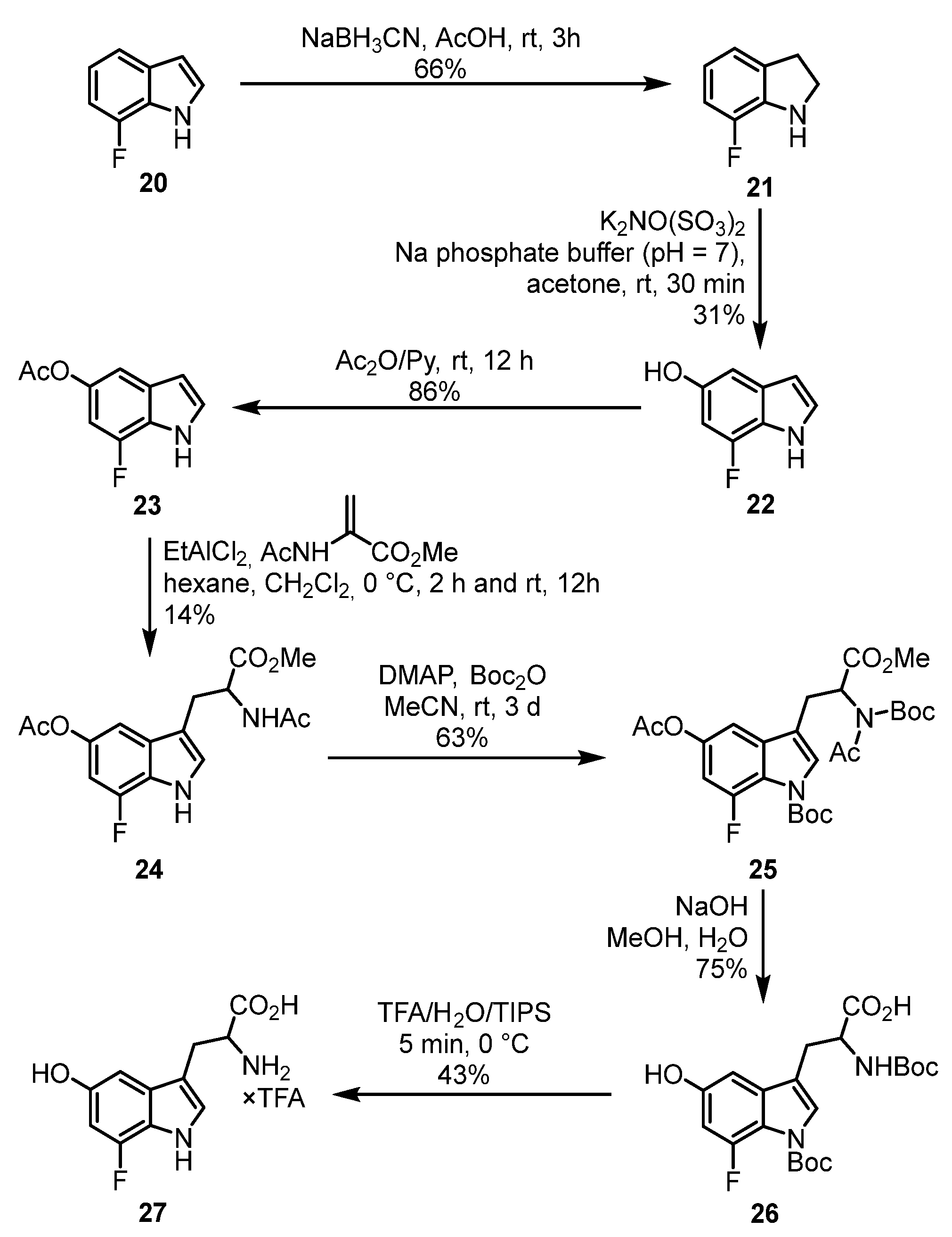 Ijms 24 15251 sch004 Ijms 24 15251 sch004