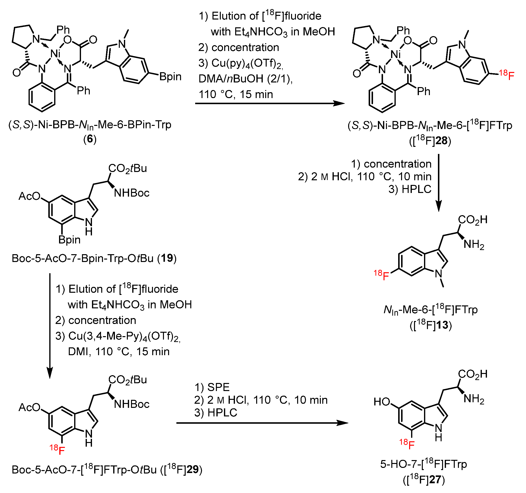 Ijms 24 15251 sch005 Ijms 24 15251 sch005