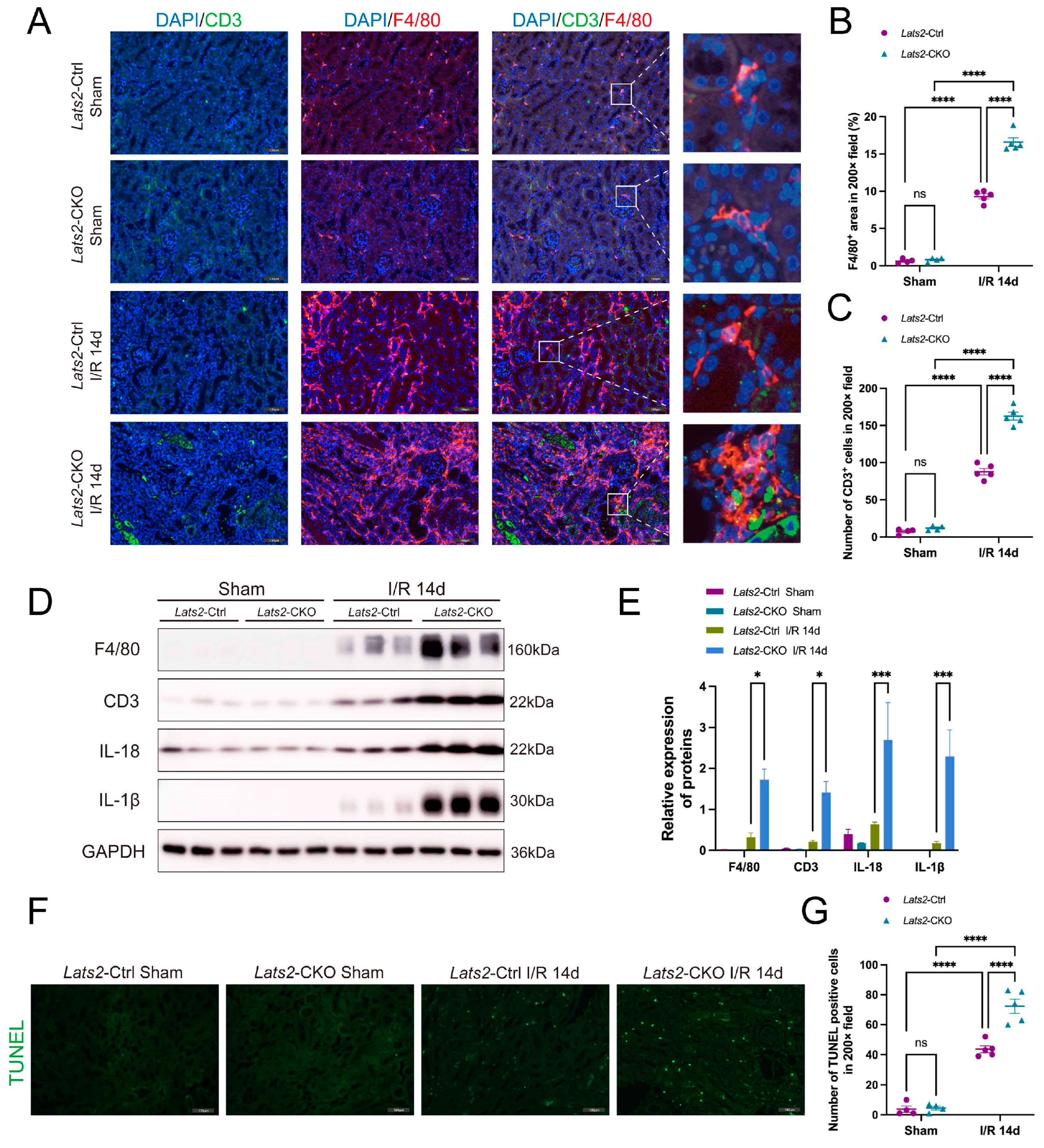 Ijms 24 15258 g004 Ijms 24 15258 g004