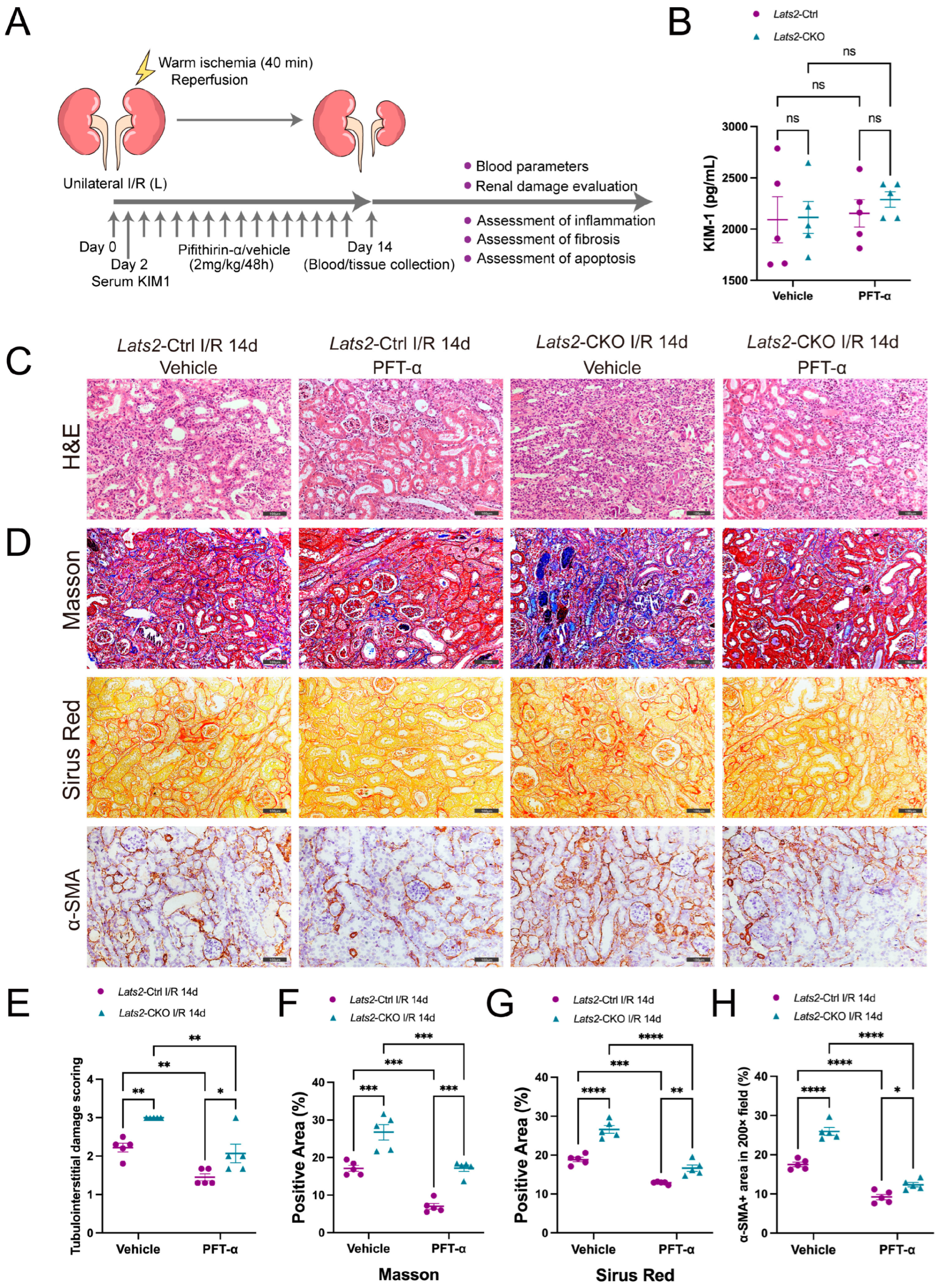 Ijms 24 15258 g006 Ijms 24 15258 g006