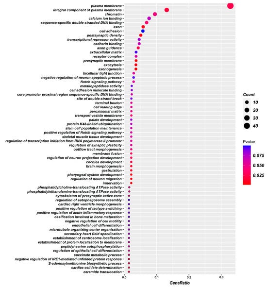 IJMS | Free Full-Text | Exploring the Prognosis-Related Genetic ...