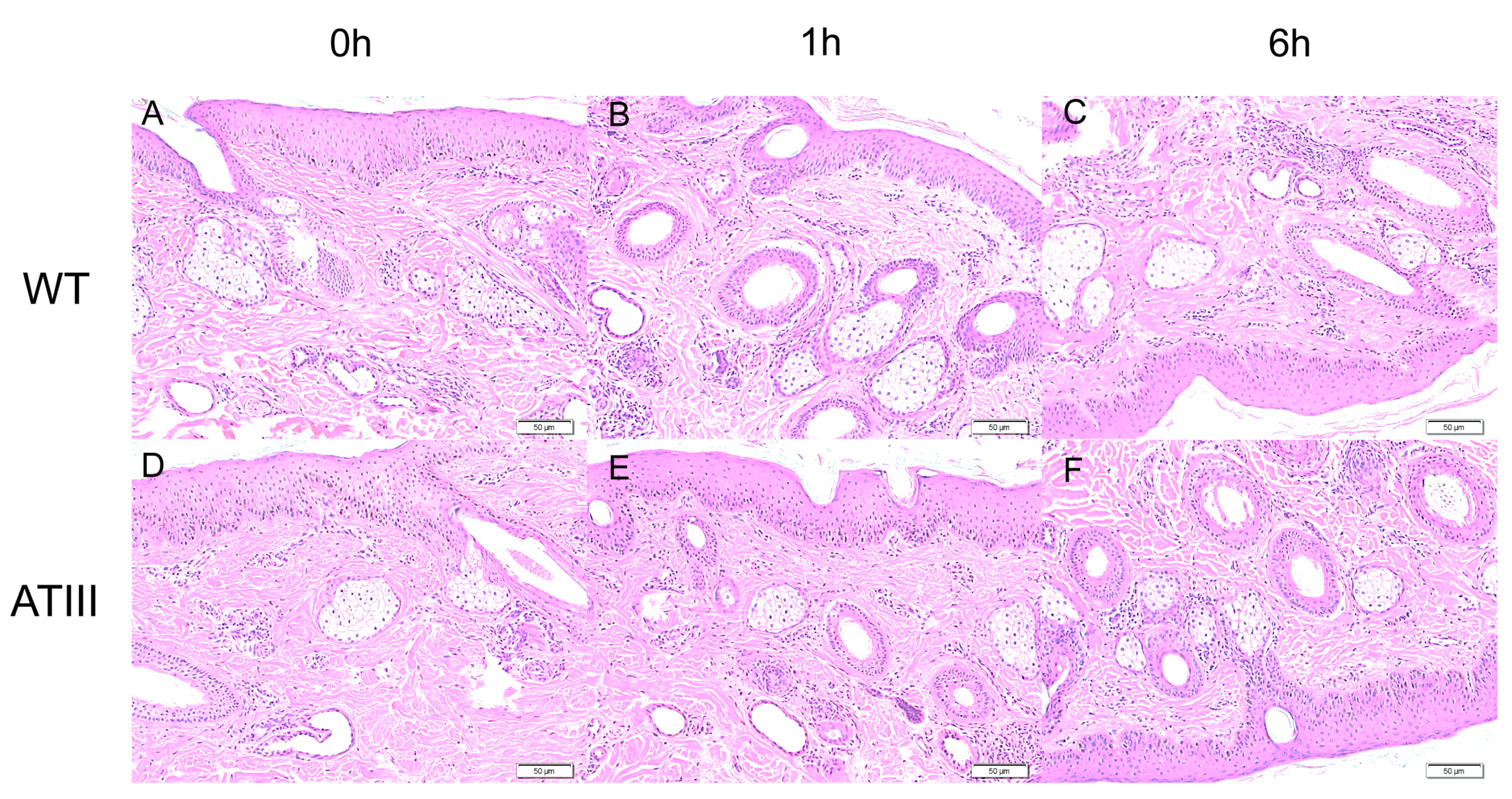 Ijms 24 15303 g007 Ijms 24 15303 g007