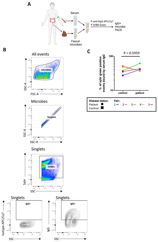 The systemic anti-microbiota IgG repertoire can identify gut