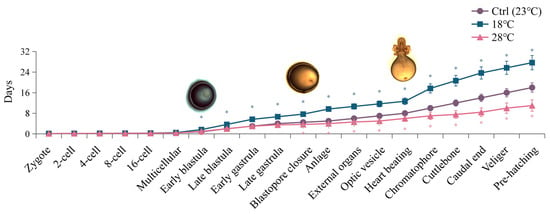 Heat shock increases levels of reactive oxygen species, autophagy