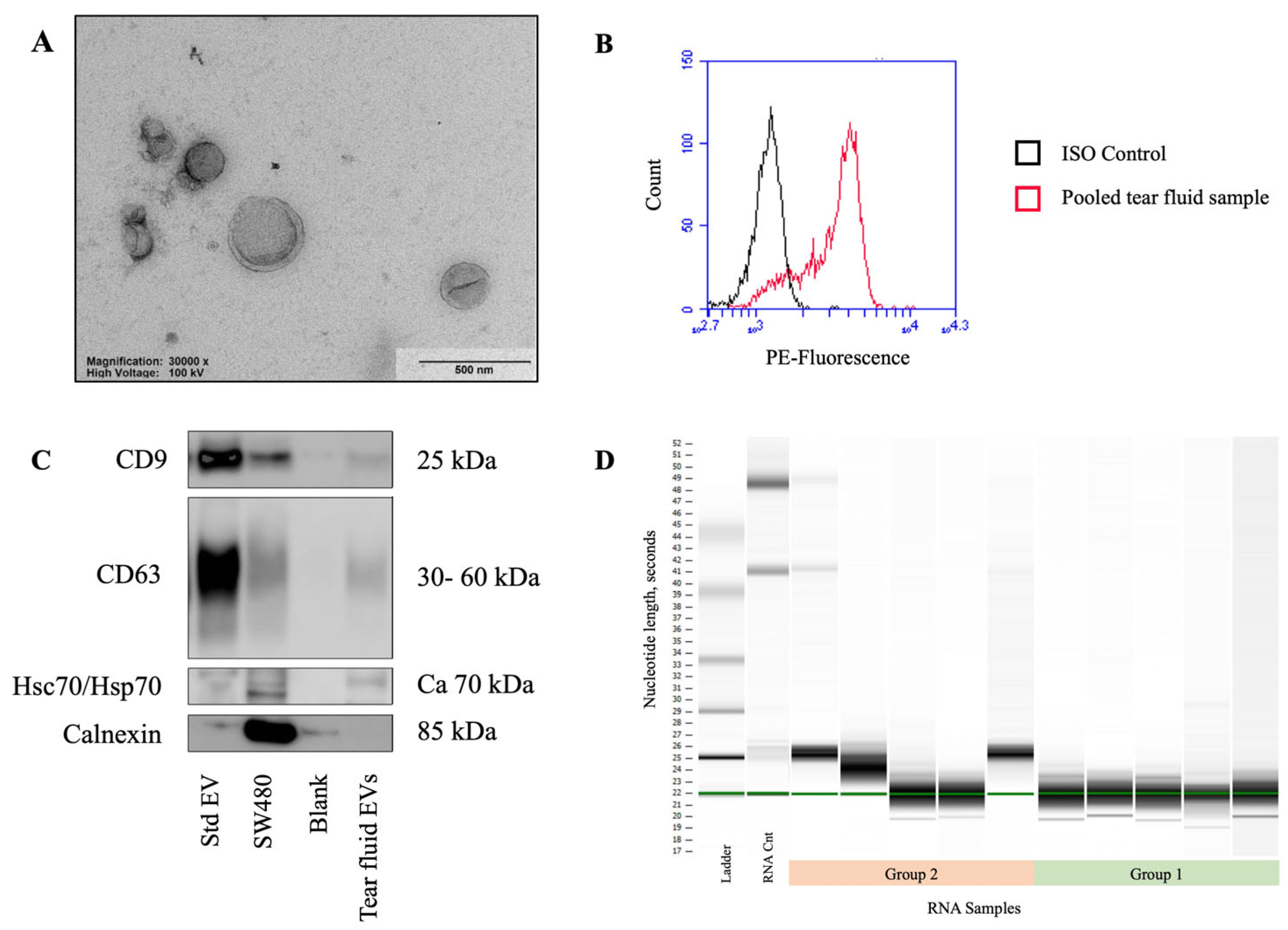 Ijms 24 15390 g002 Ijms 24 15390 g002