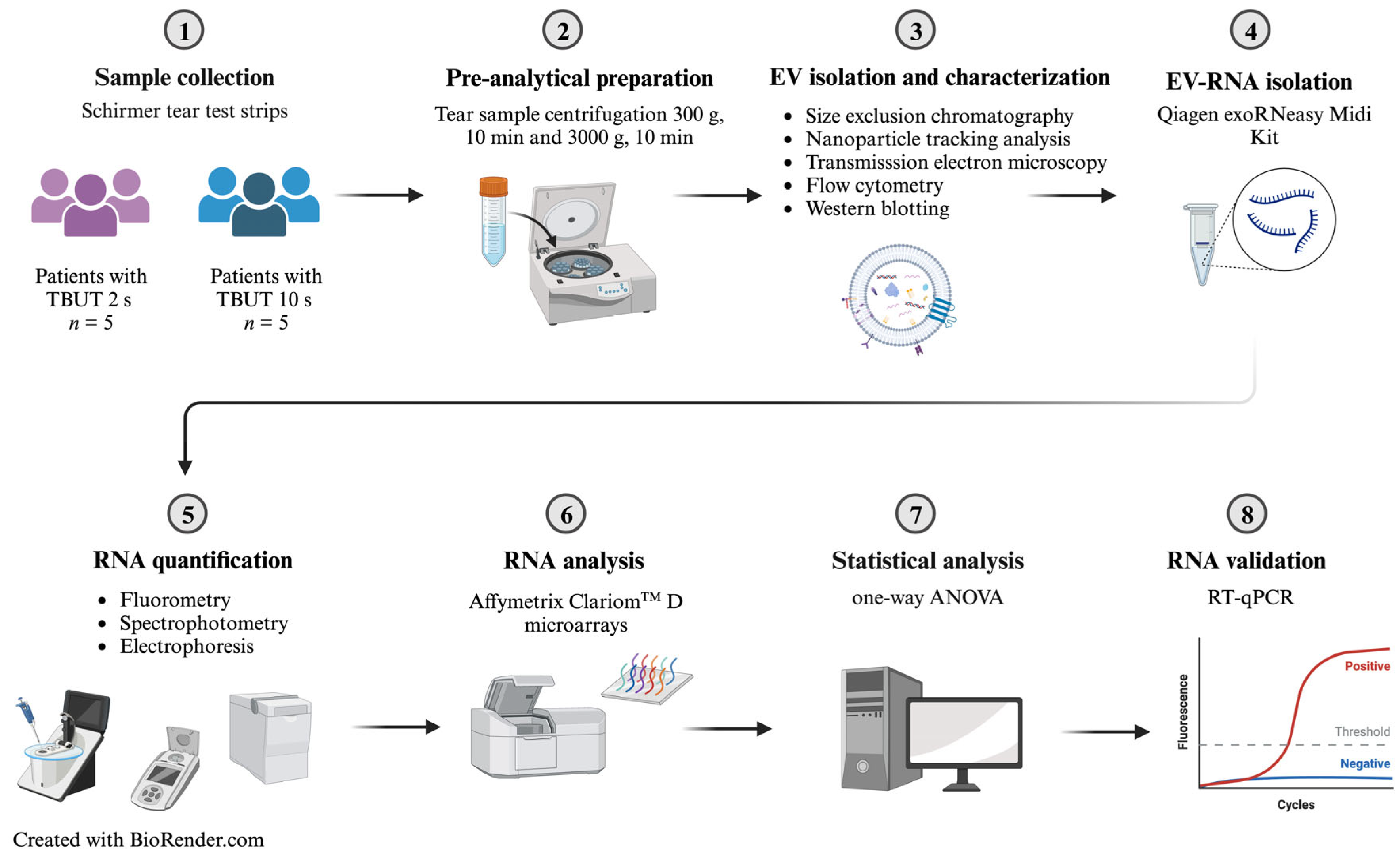 Ijms 24 15390 g005 Ijms 24 15390 g005