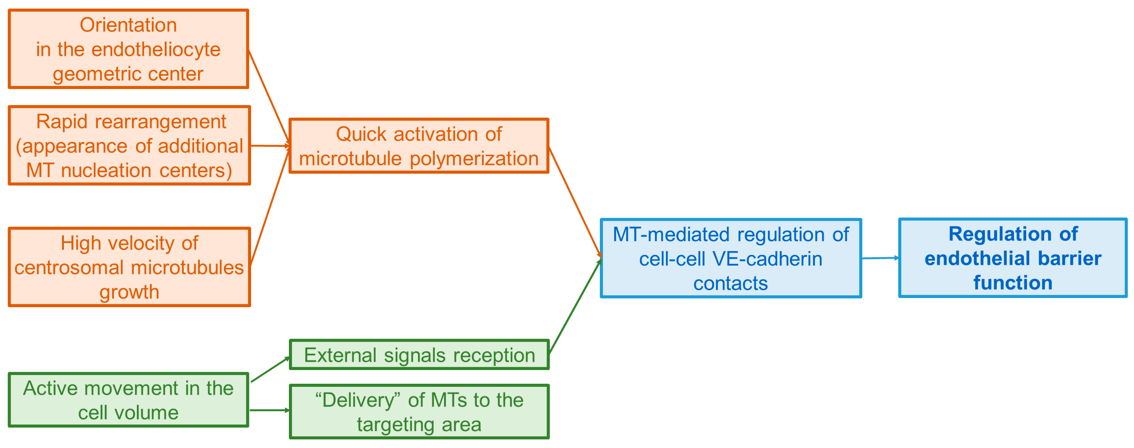 Ijms 24 15392 g004 Ijms 24 15392 g004