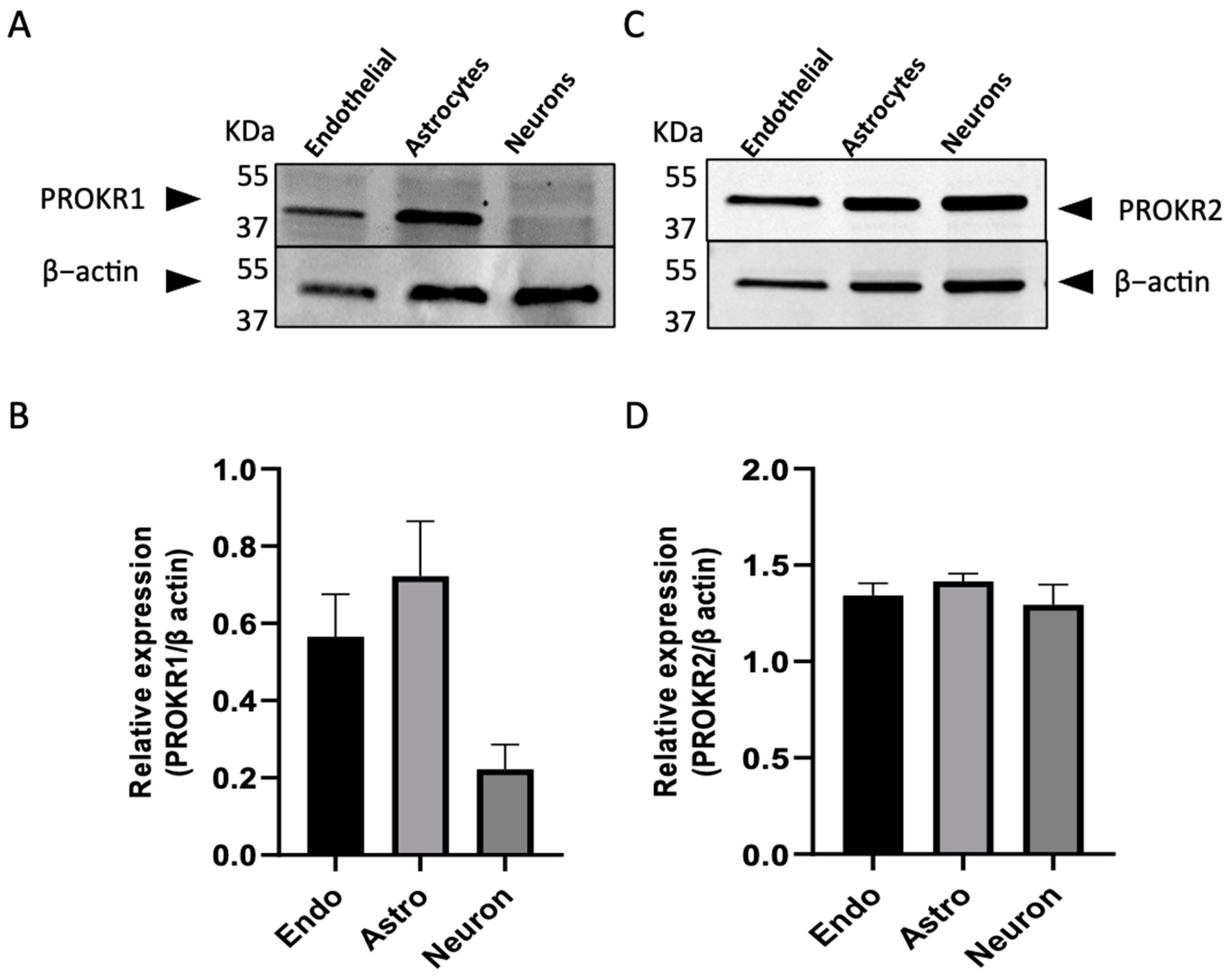 Ijms 24 15428 g001 Ijms 24 15428 g001