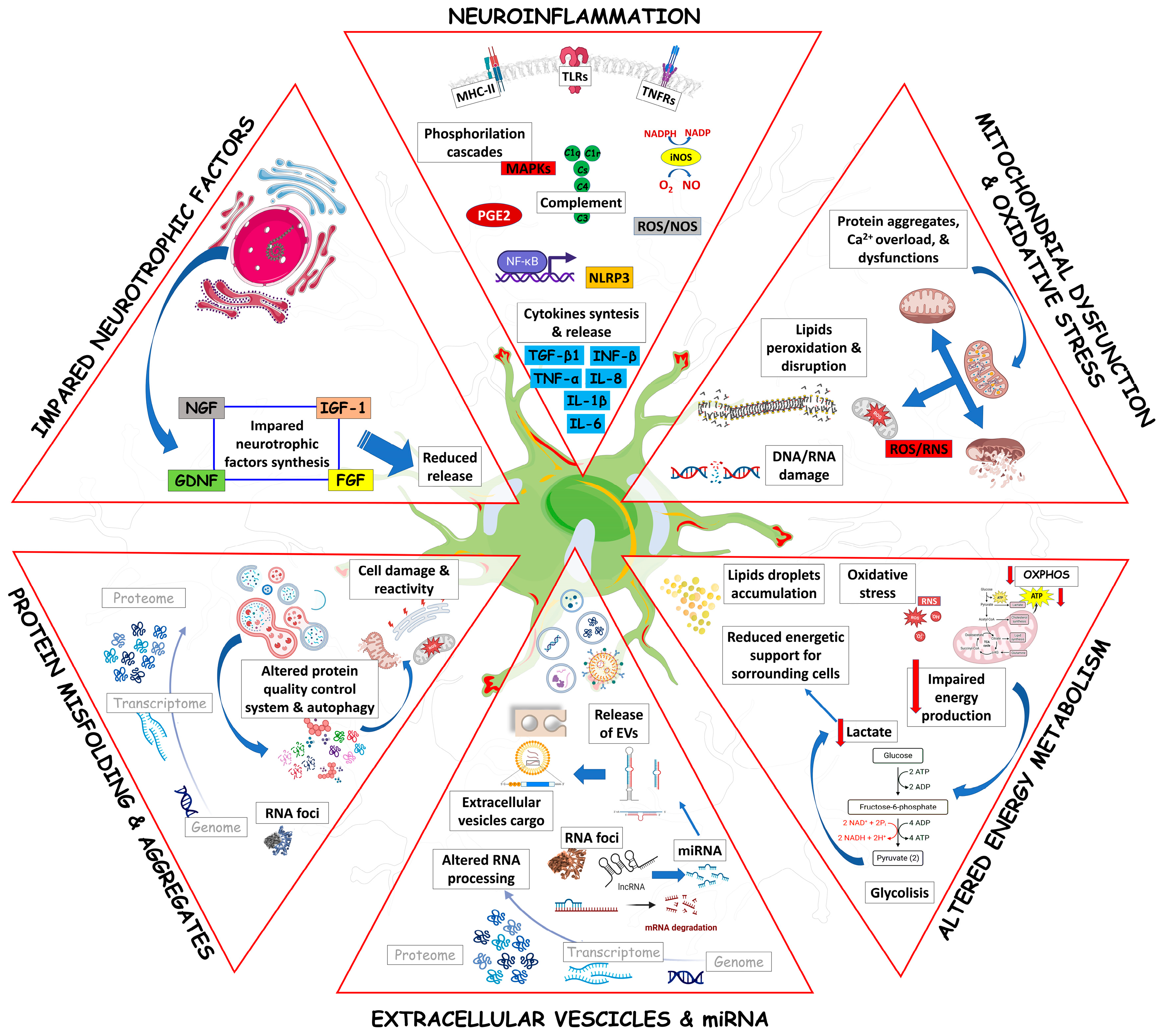 Ijms 24 15430 g001 Ijms 24 15430 g001