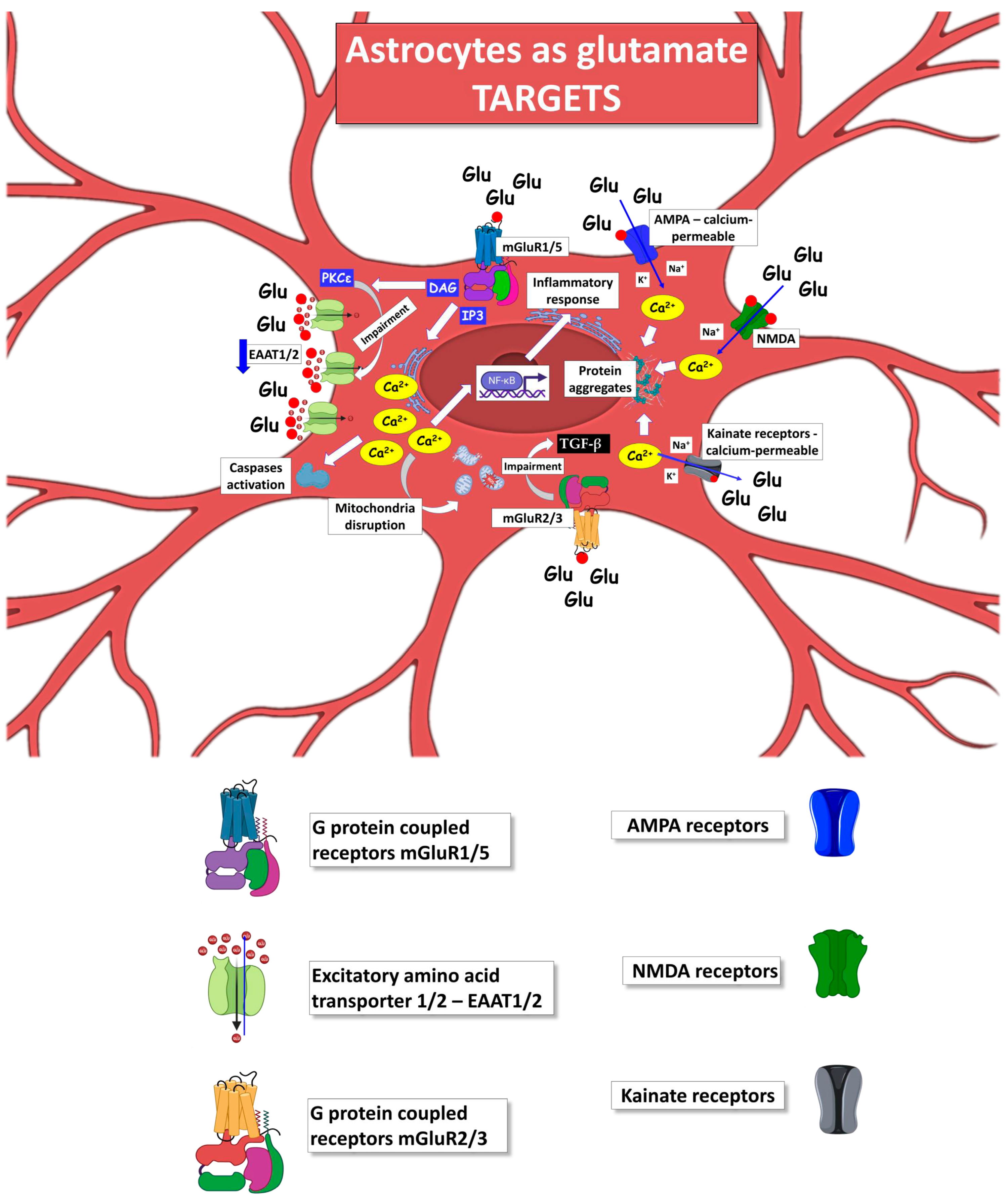 Ijms 24 15430 g003 Ijms 24 15430 g003