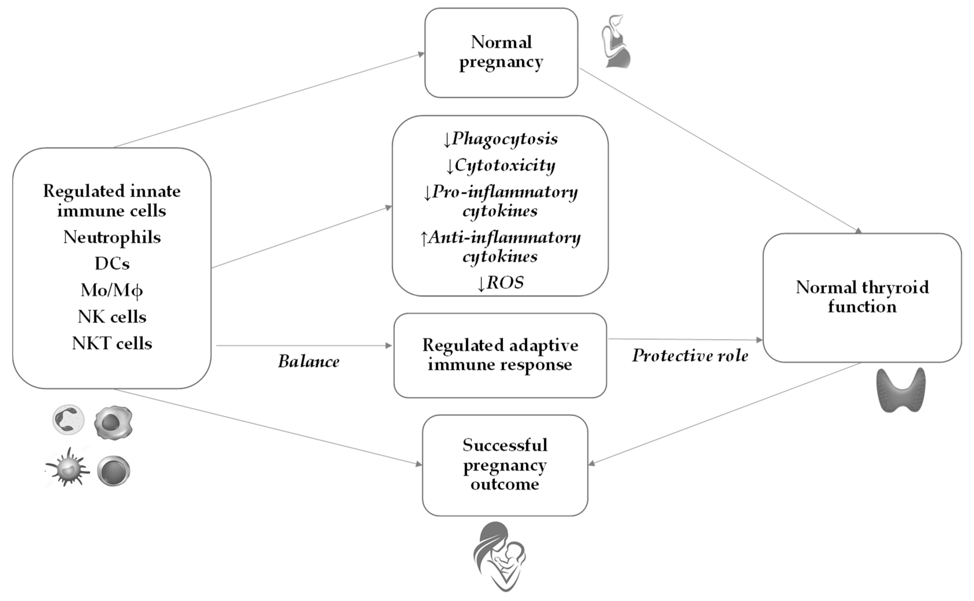 Ijms 24 15442 g001 Ijms 24 15442 g001