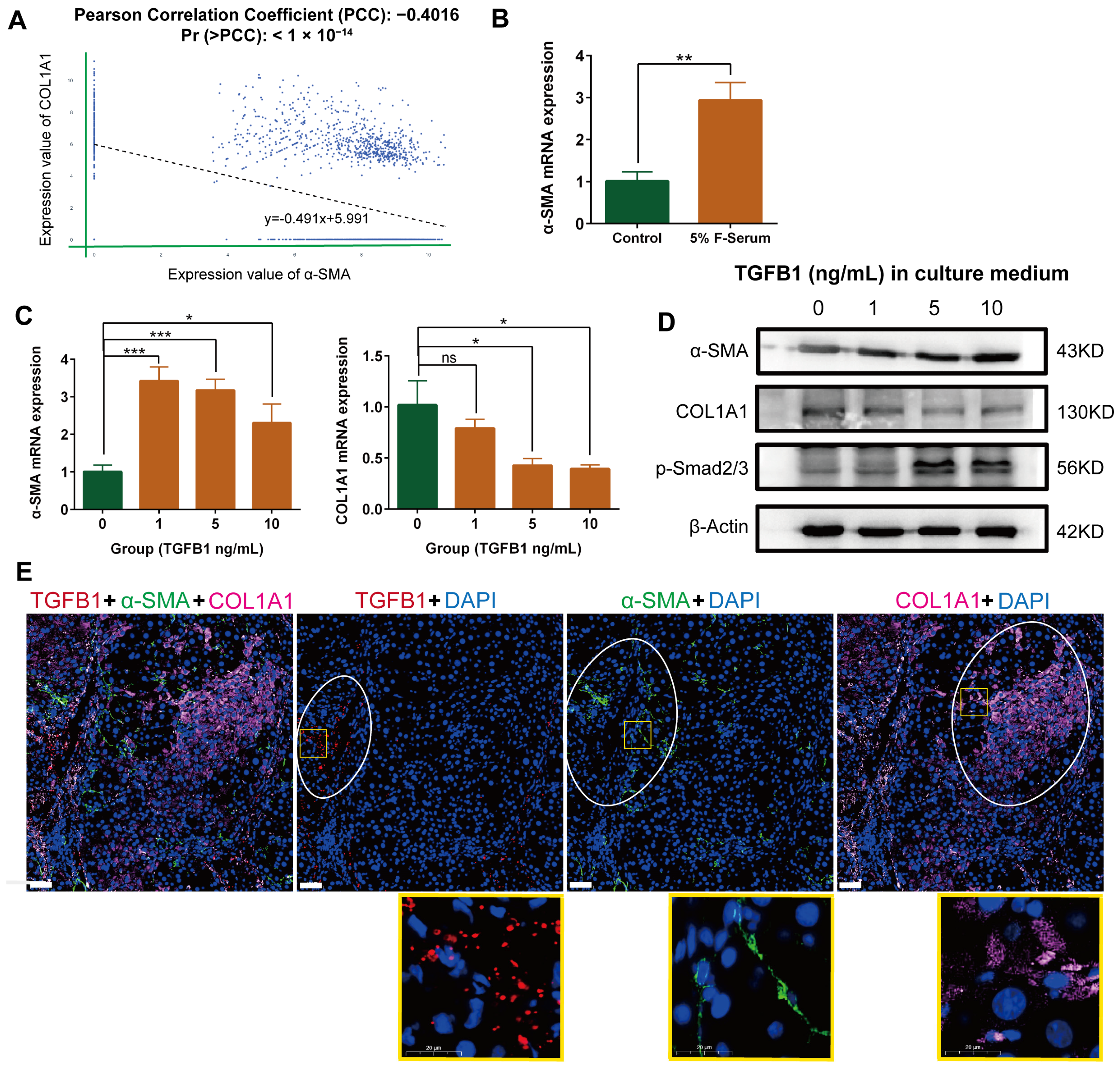Ijms 24 15460 g002 Ijms 24 15460 g002