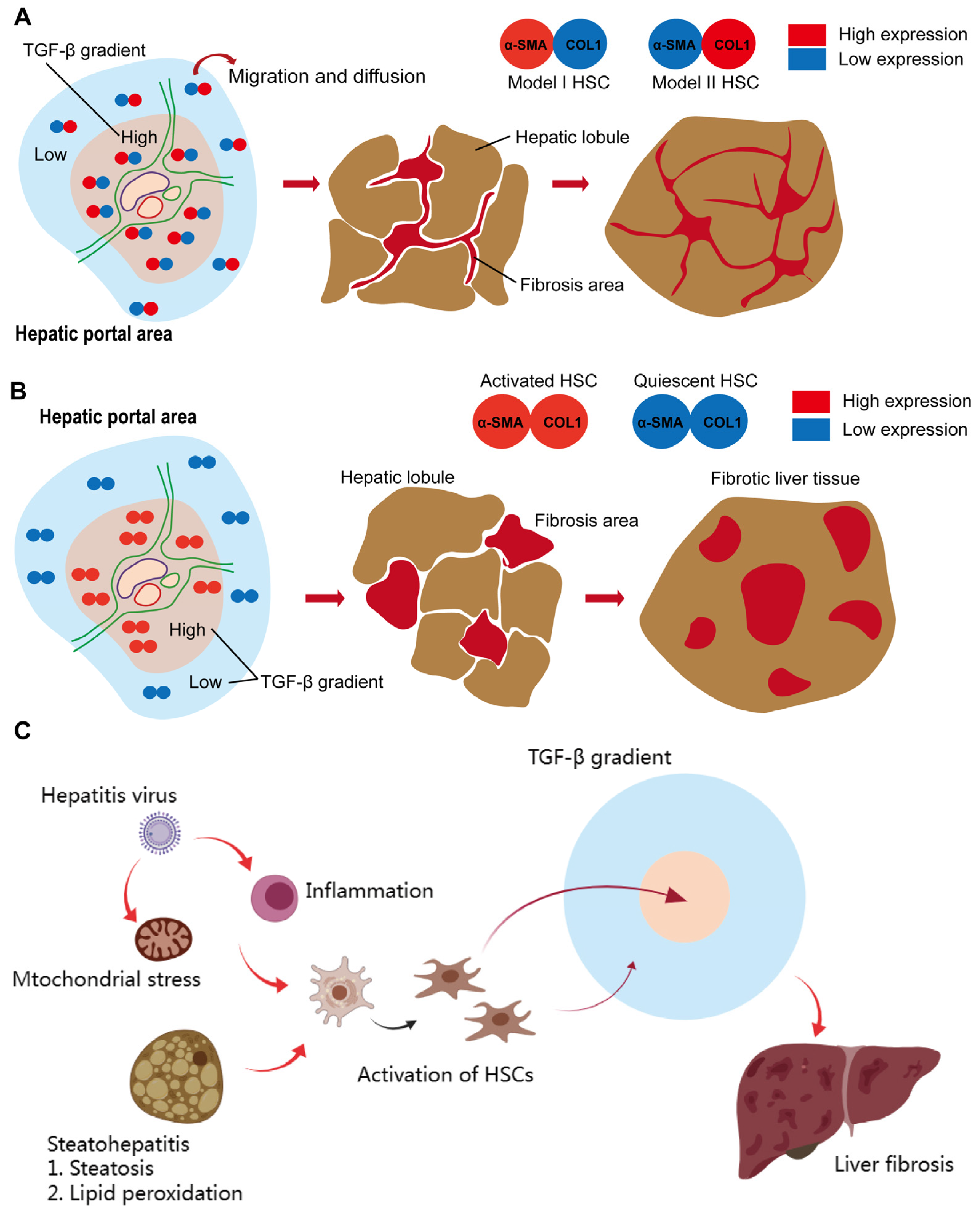 Ijms 24 15460 g003 Ijms 24 15460 g003