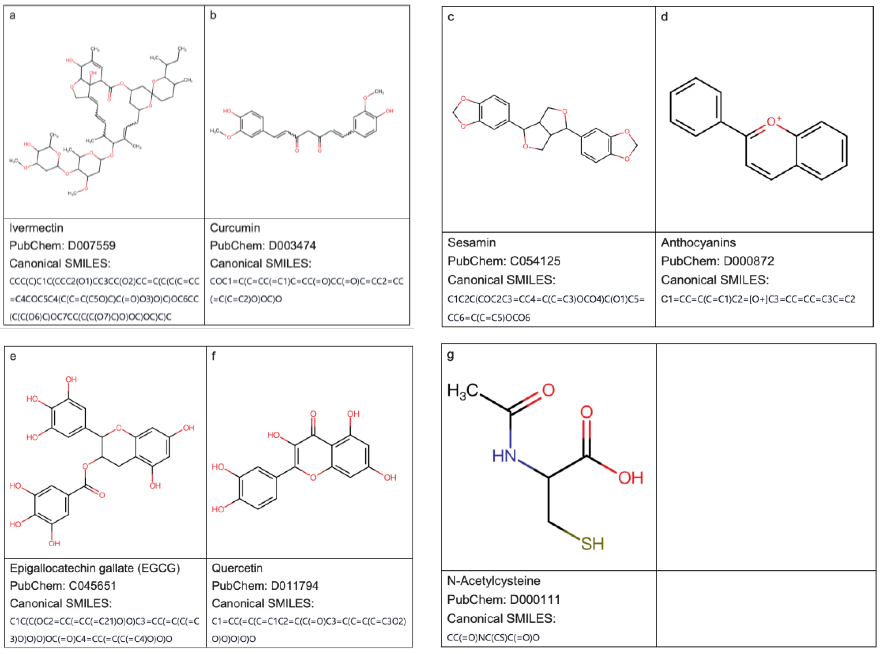 Ijms 24 15471 g001 Ijms 24 15471 g001
