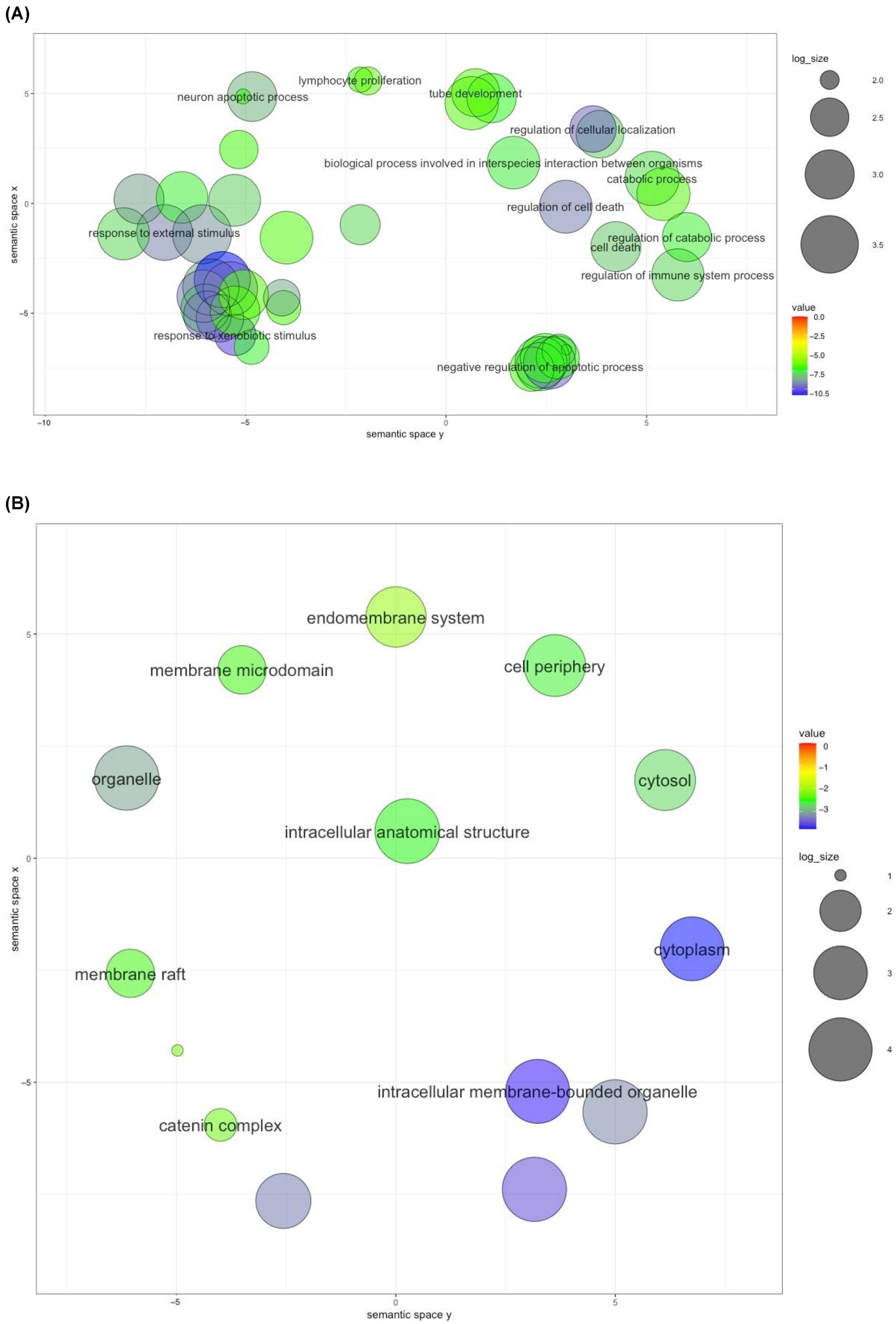Ijms 24 15471 g003a Ijms 24 15471 g003a