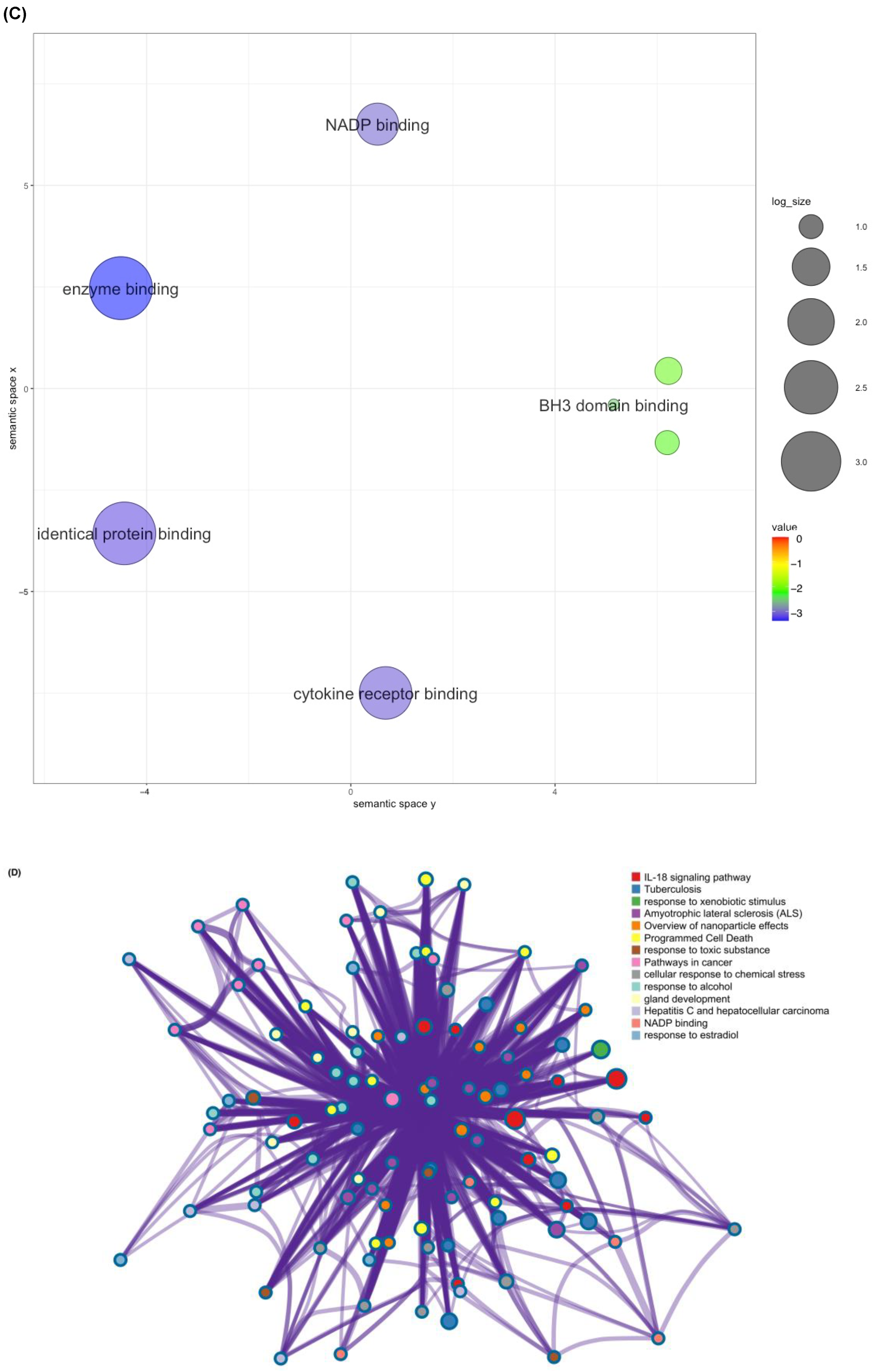 Ijms 24 15471 g003b Ijms 24 15471 g003b