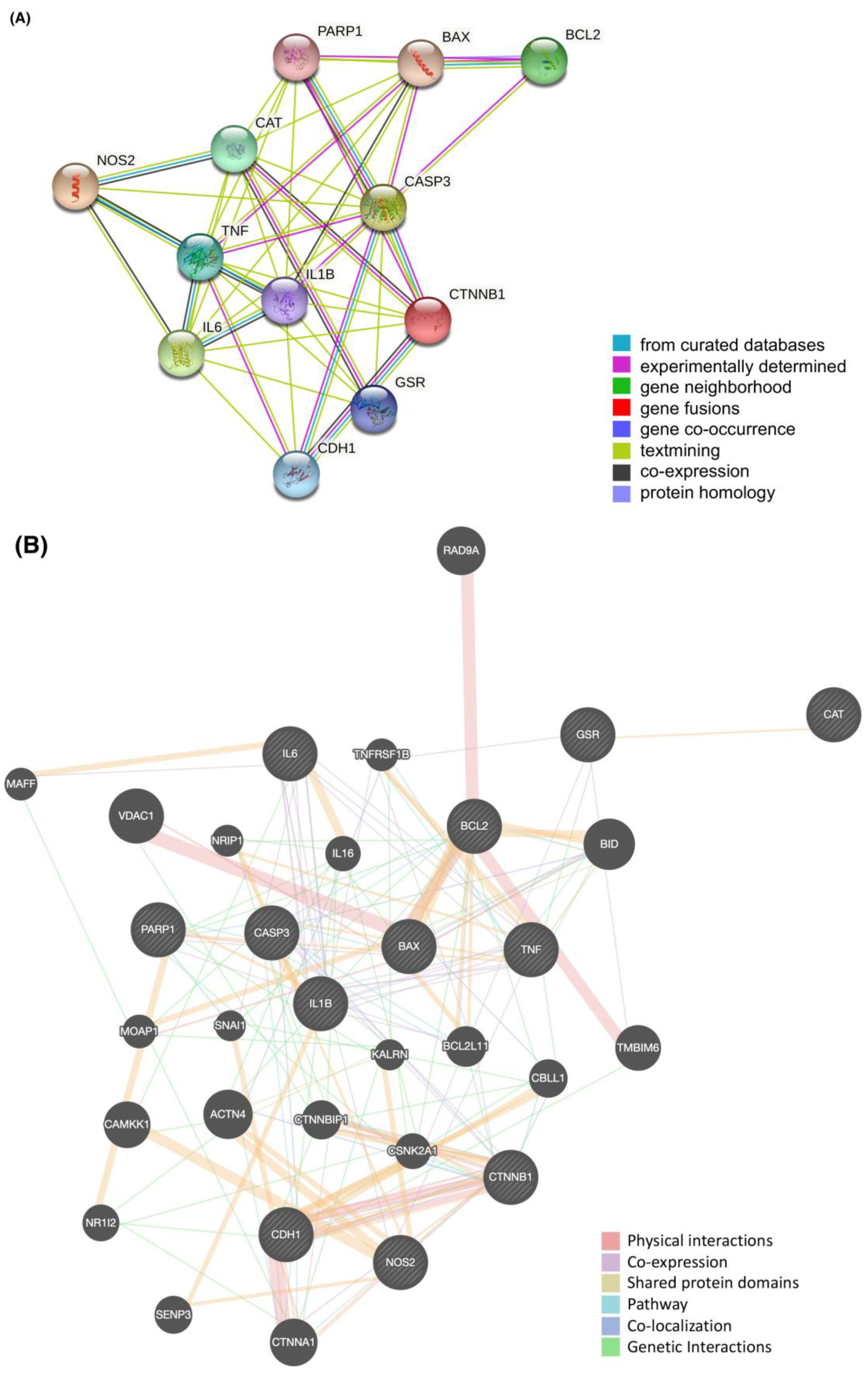 Ijms 24 15471 g005 Ijms 24 15471 g005