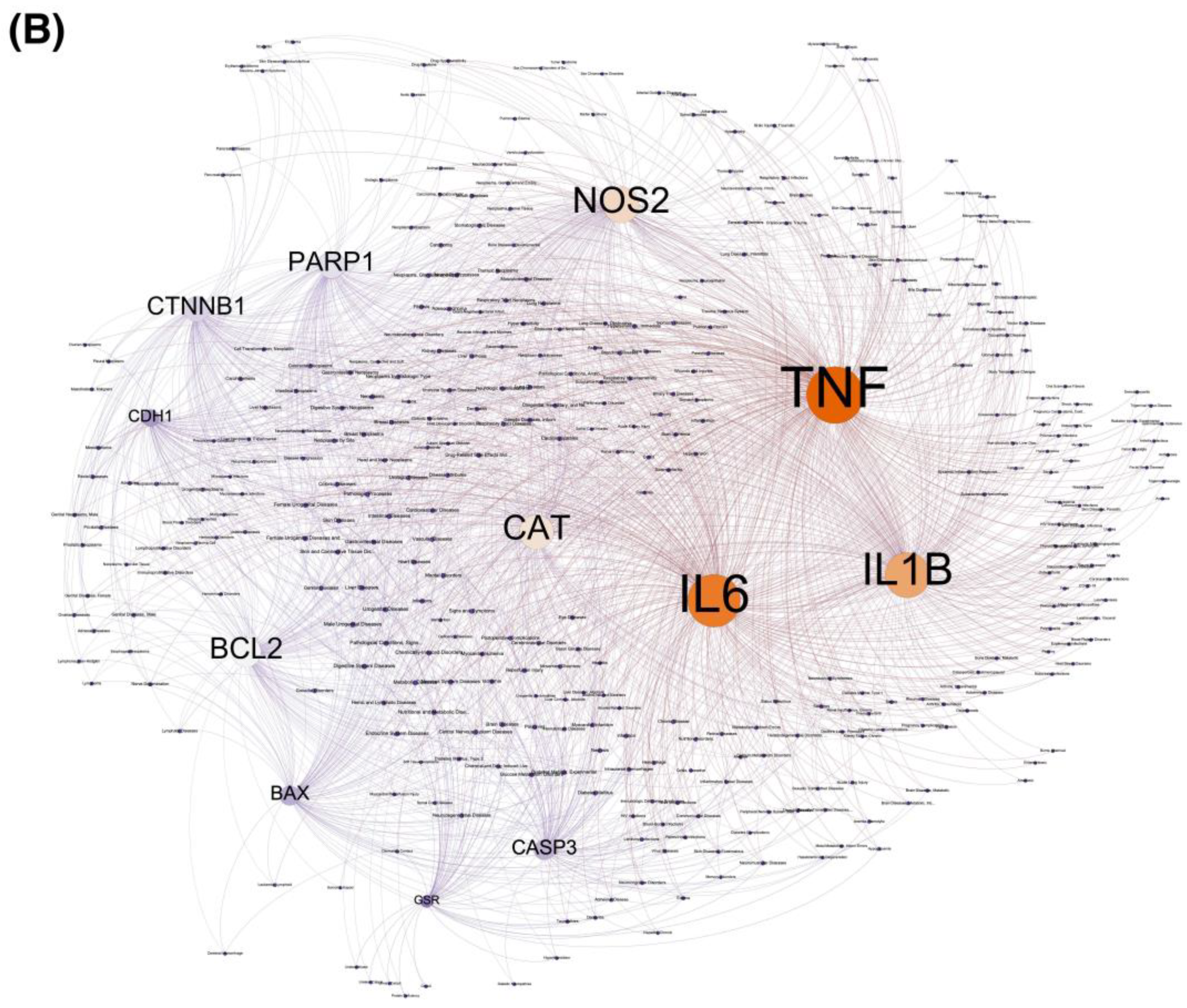 Ijms 24 15471 g006b Ijms 24 15471 g006b