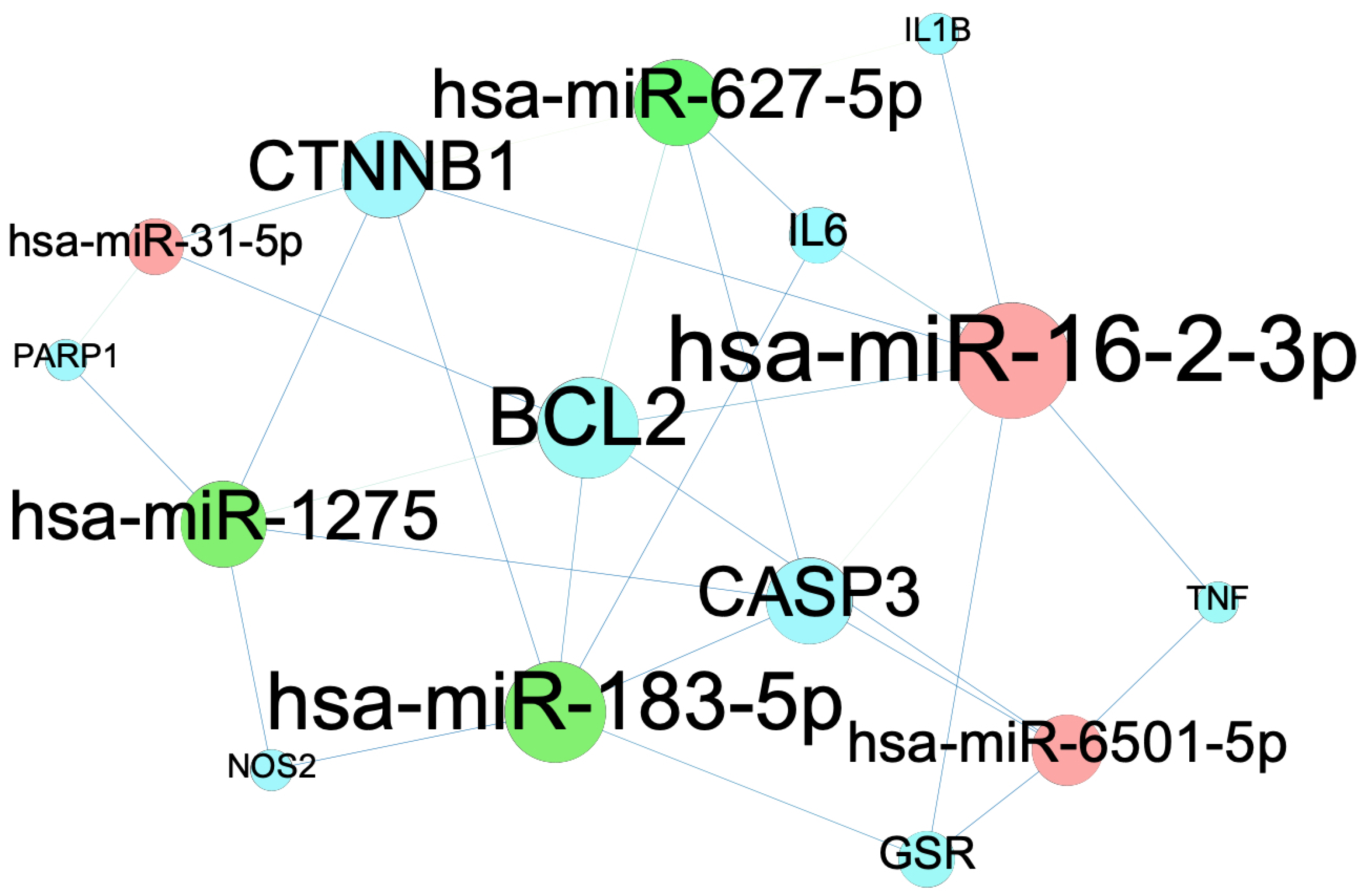 Ijms 24 15471 g007 Ijms 24 15471 g007