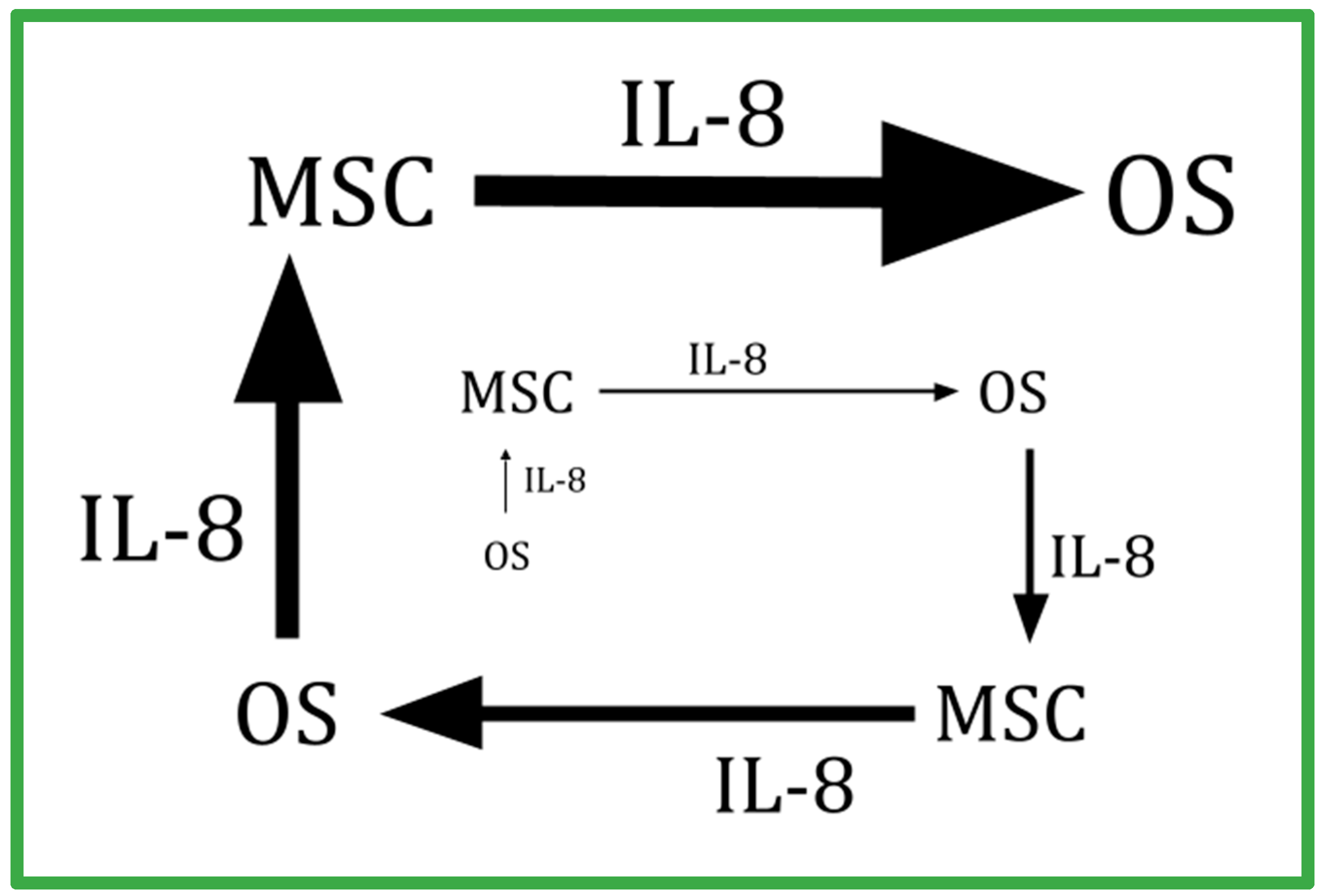 Ijms 24 15474 g002 Ijms 24 15474 g002