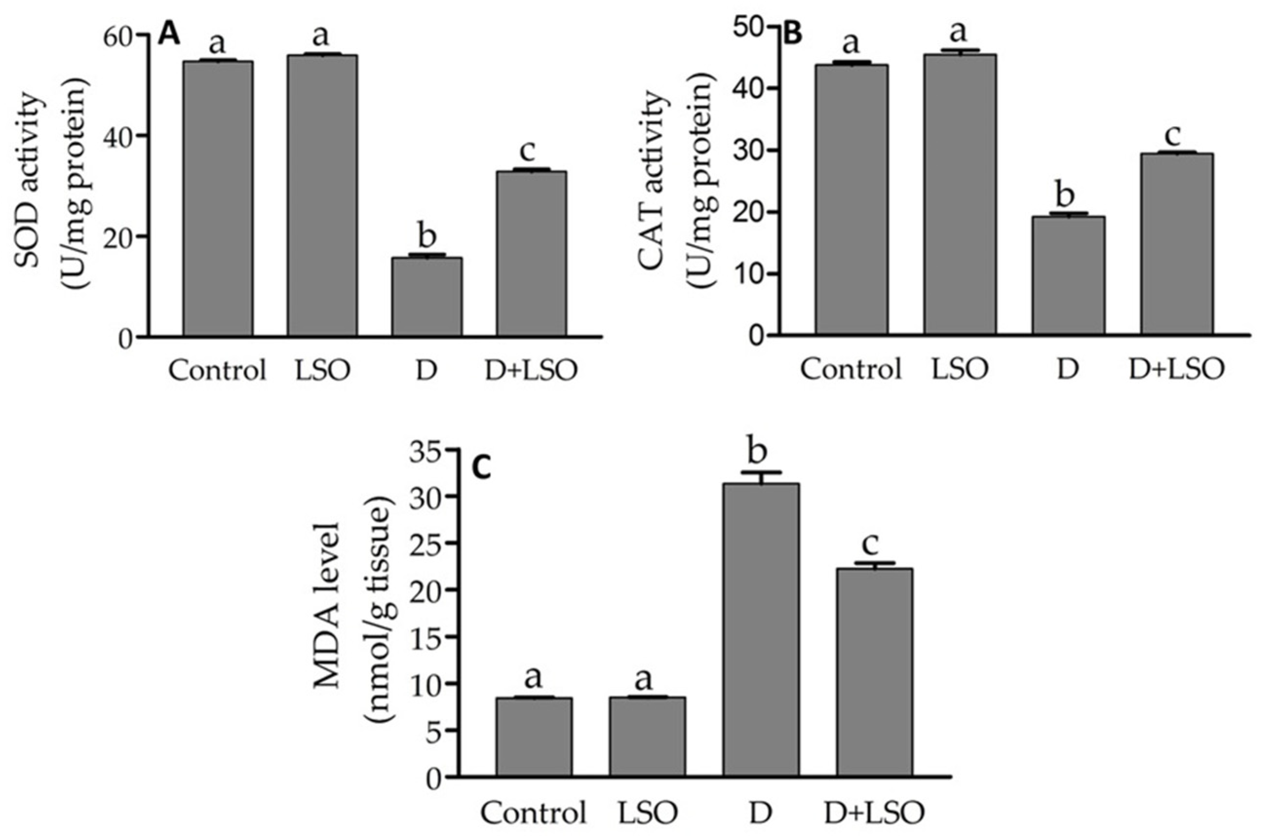 Ijms 24 15478 g003 Ijms 24 15478 g003