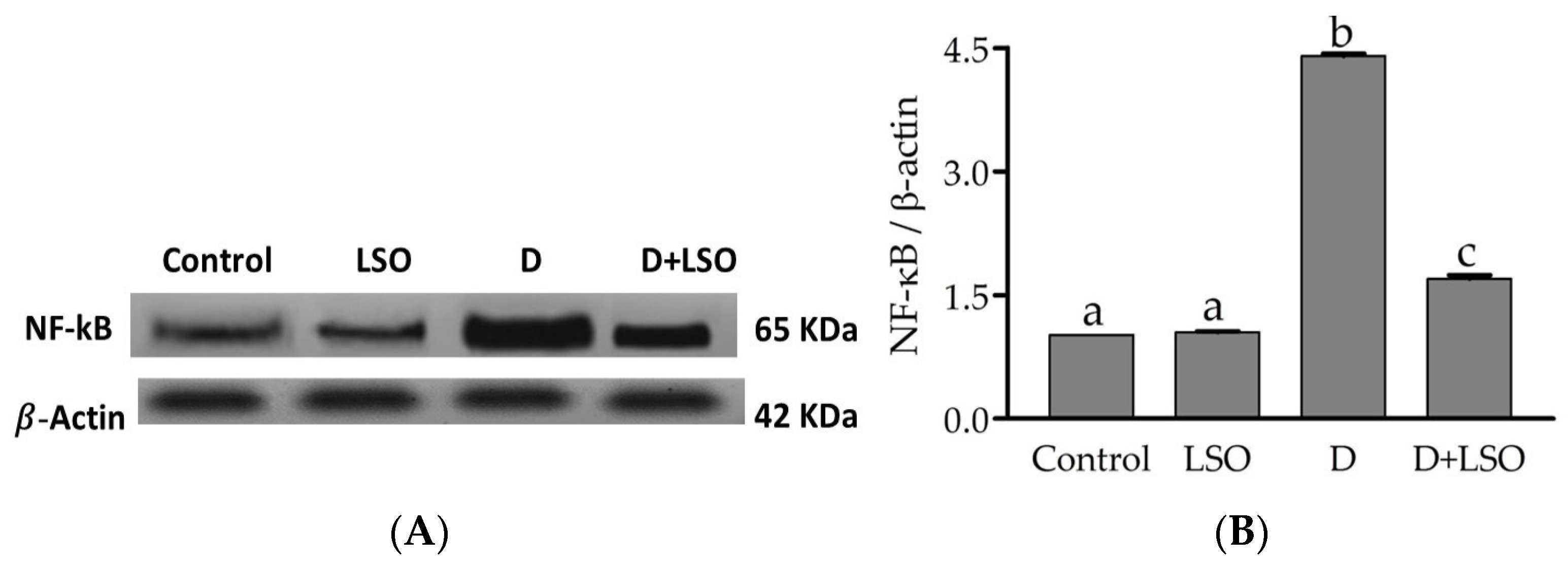 Ijms 24 15478 g005 Ijms 24 15478 g005