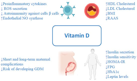 IJMS | Free Full-Text | The Role of Vitamin D and Its Molecular 