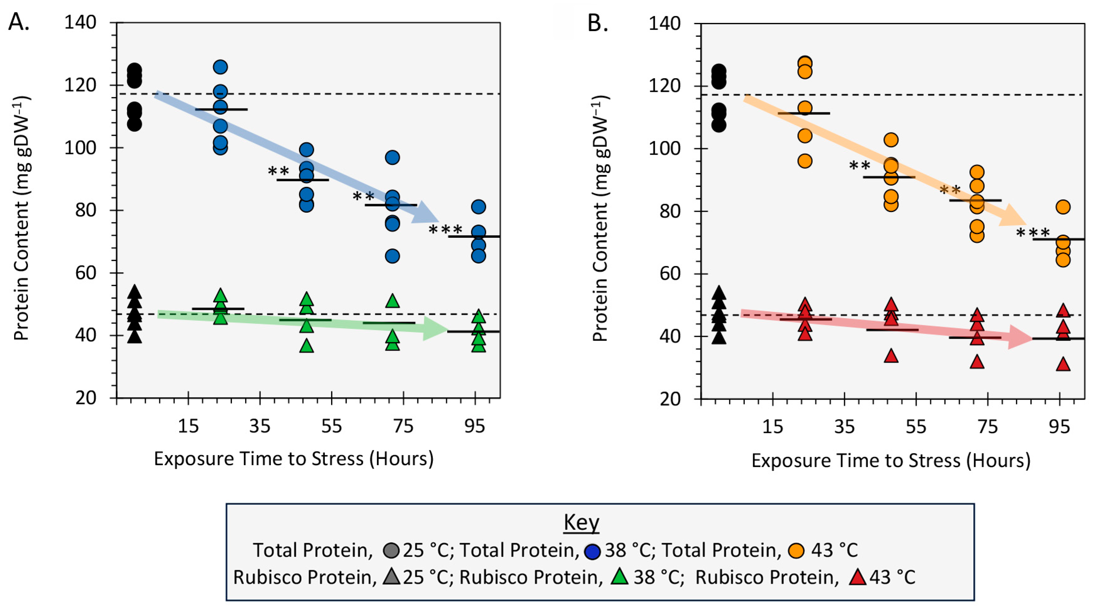 Ijms 24 15509 g006 Ijms 24 15509 g006