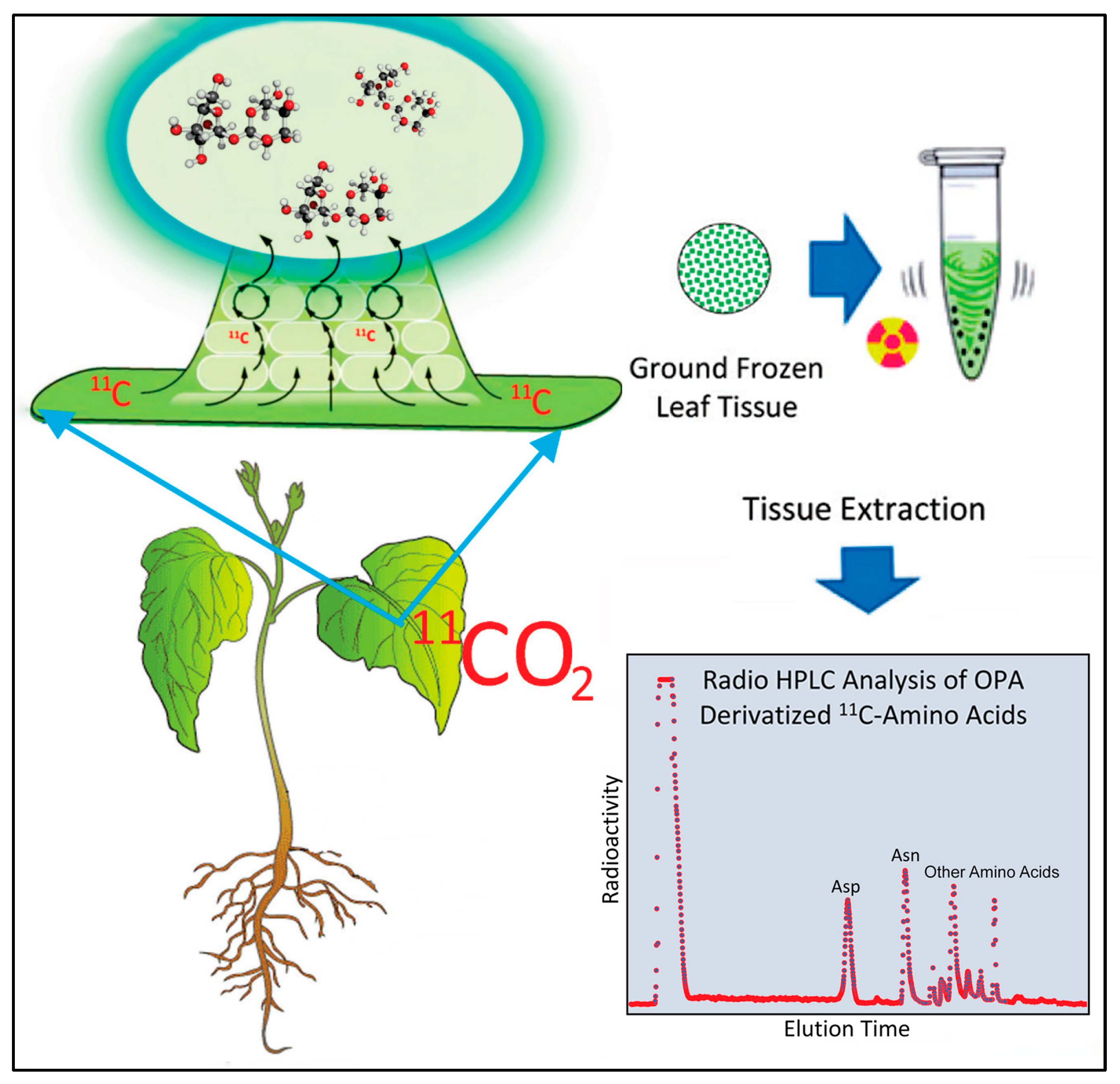 Ijms 24 15509 g008 Ijms 24 15509 g008