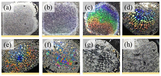 https://www.mdpi.com/ijms/ijms-24-15538/article_deploy/html/images/ijms-24-15538-g007-550.jpg