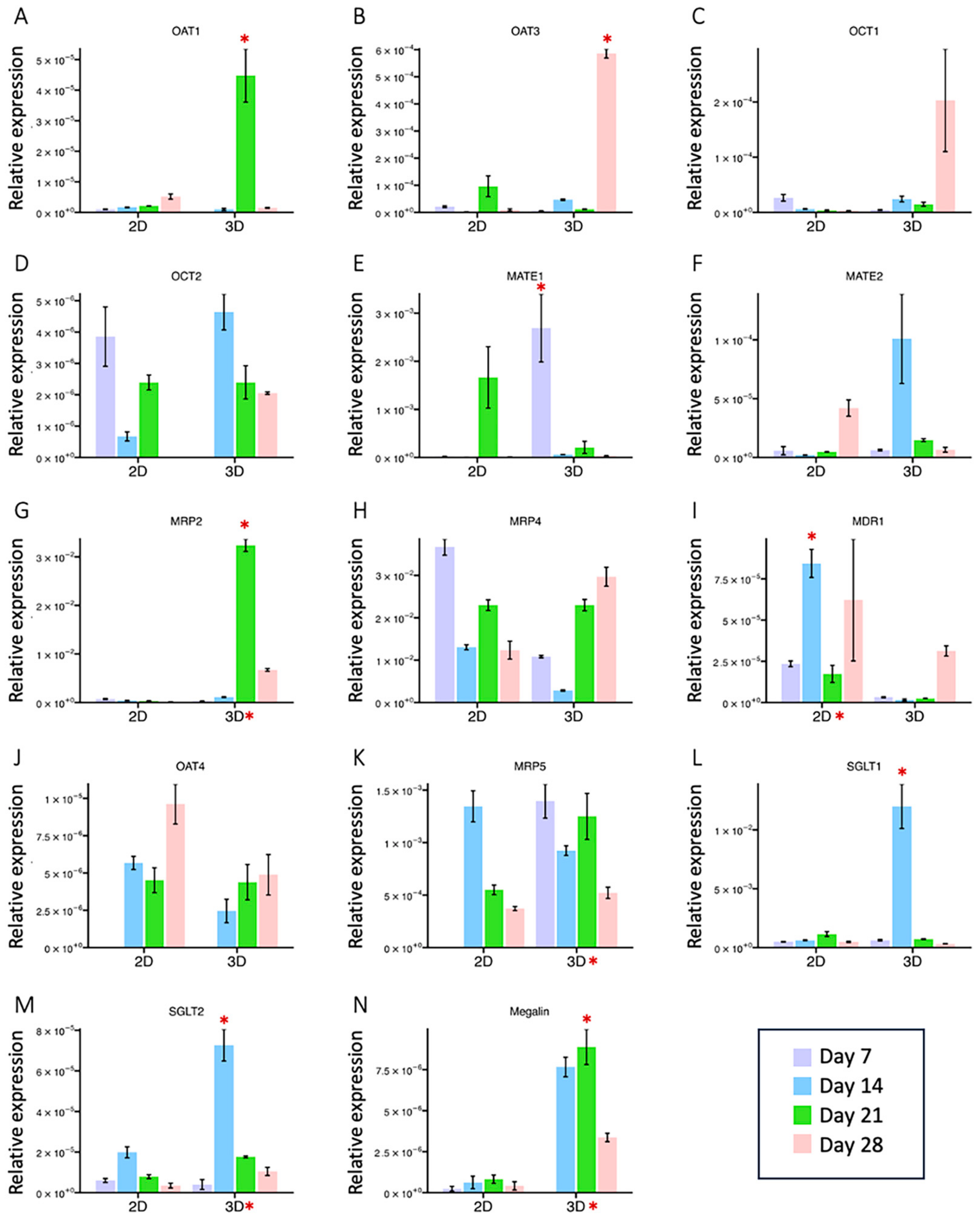 Ijms 24 15547 g003 Ijms 24 15547 g003