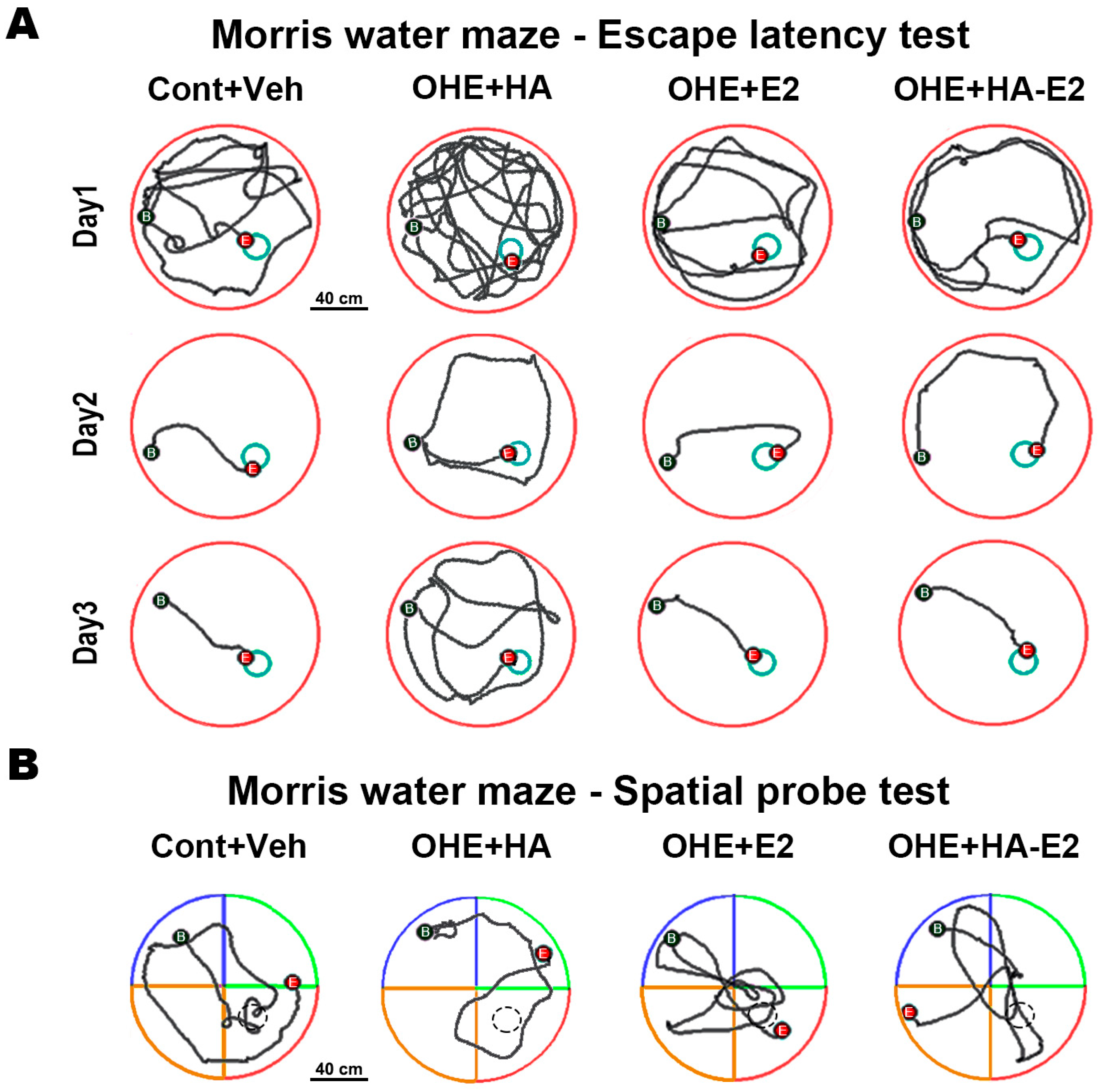 Ijms 24 15569 g002 Ijms 24 15569 g002