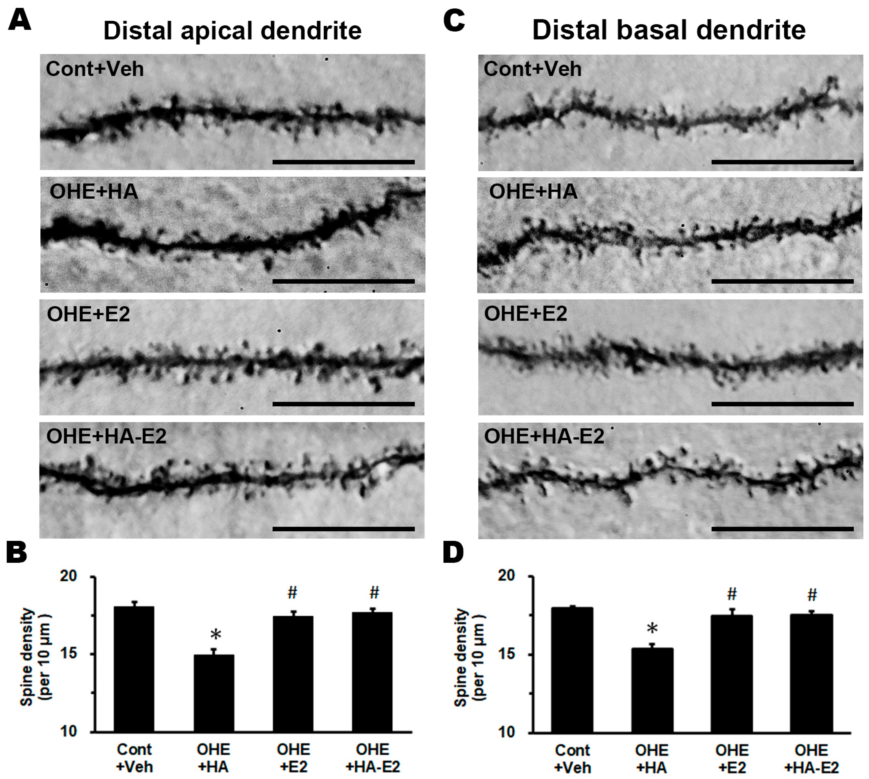 Ijms 24 15569 g005 Ijms 24 15569 g005