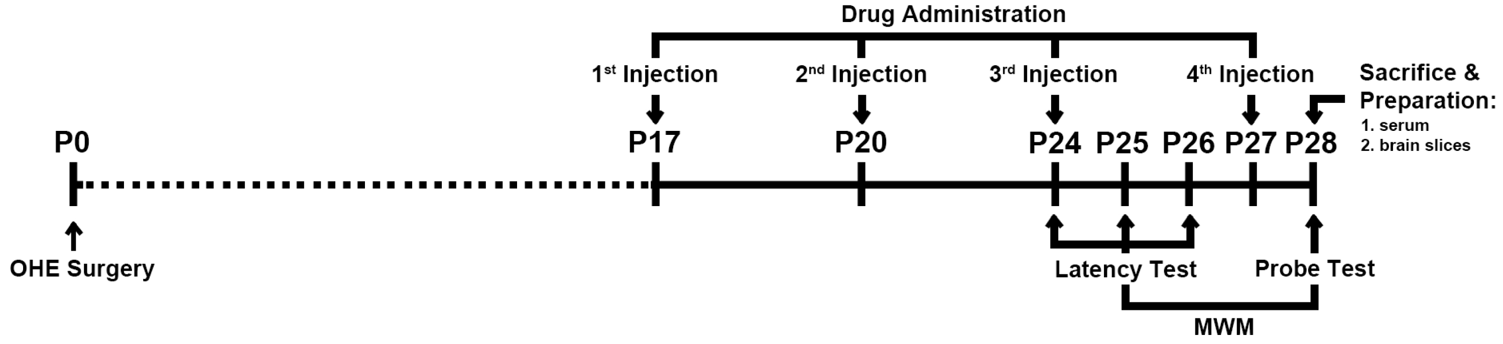 Ijms 24 15569 g006 Ijms 24 15569 g006