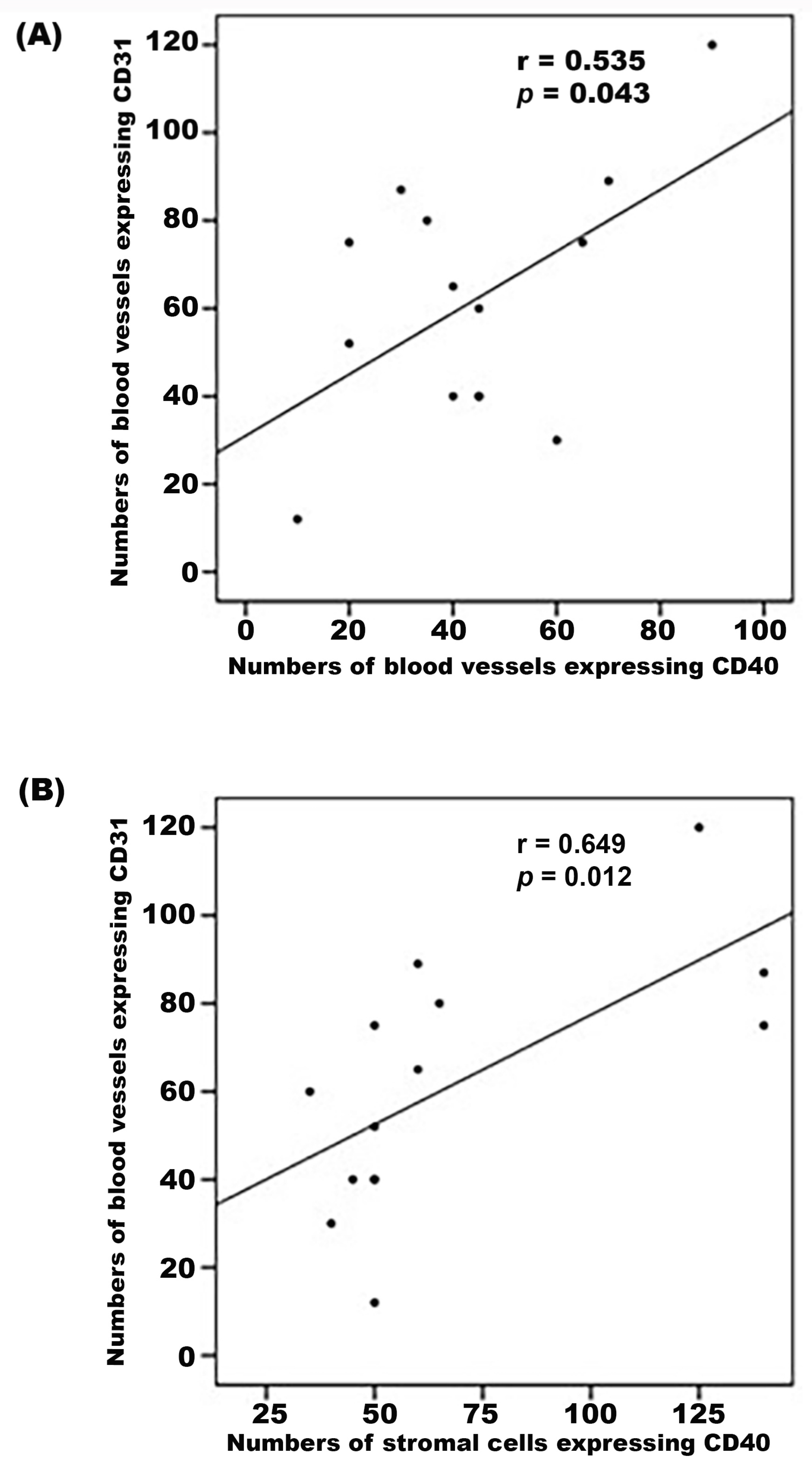 Ijms 24 15582 g007 Ijms 24 15582 g007