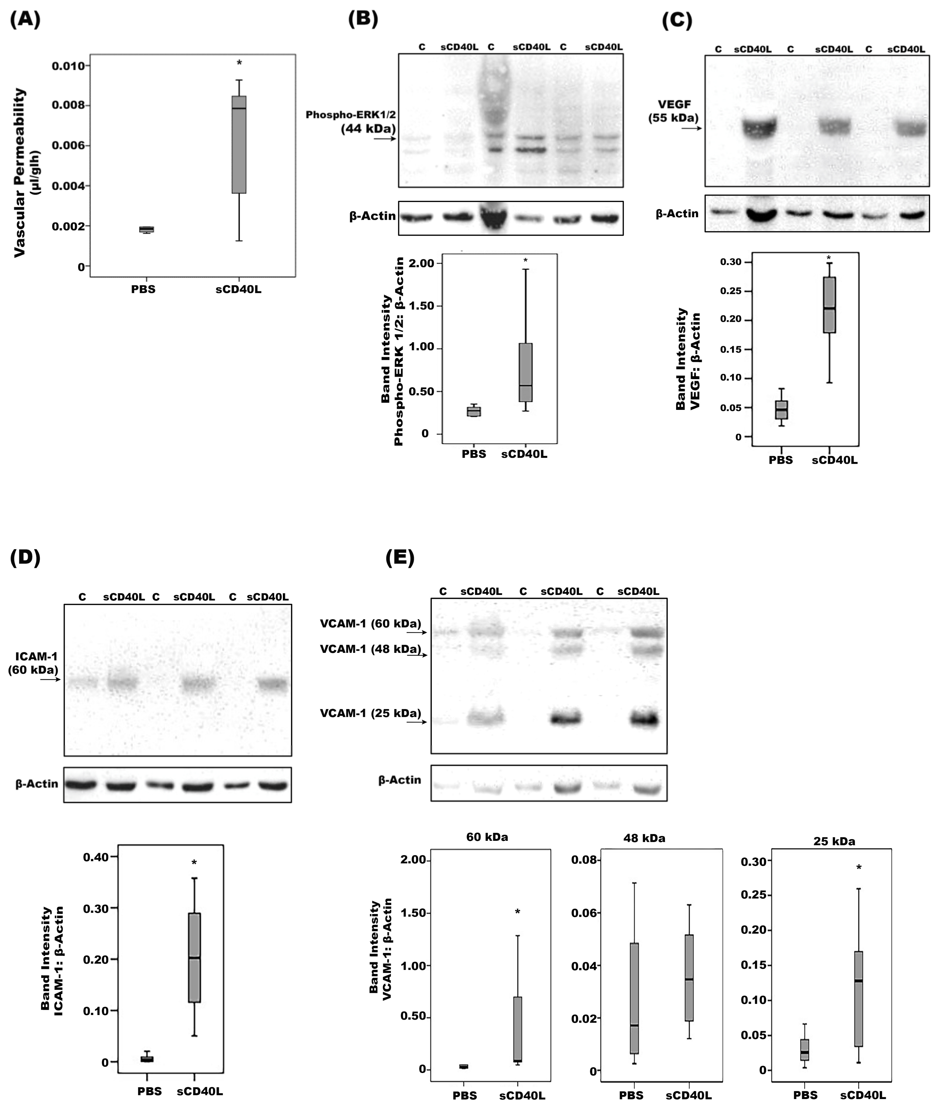 Ijms 24 15582 g008 Ijms 24 15582 g008