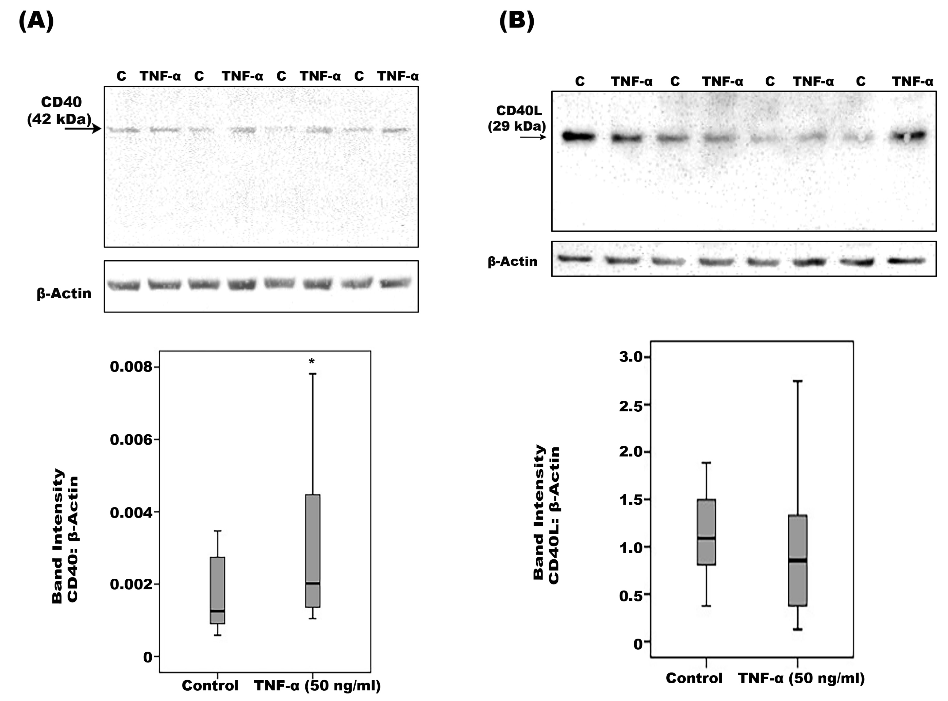 Ijms 24 15582 g009 Ijms 24 15582 g009