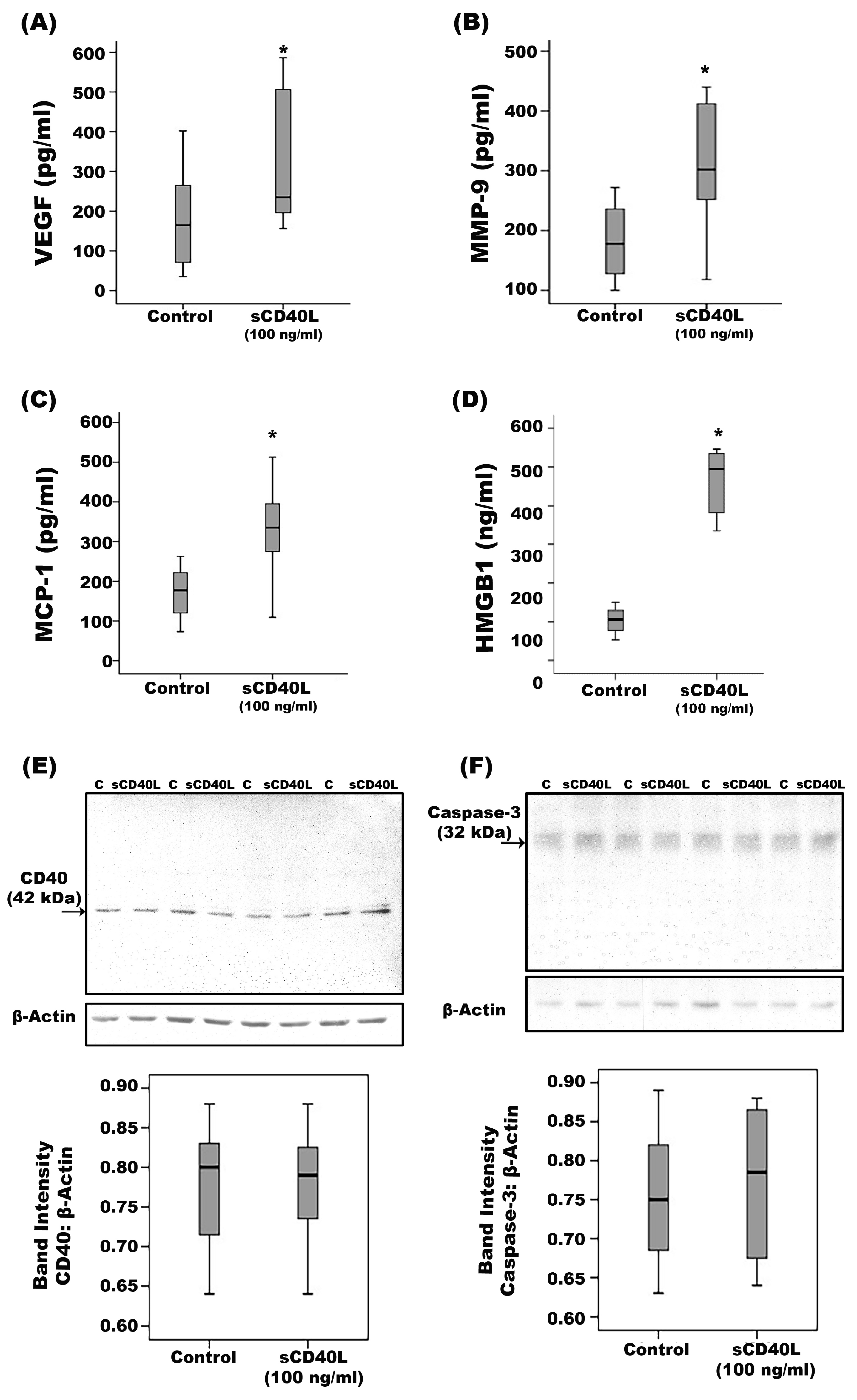 Ijms 24 15582 g010a Ijms 24 15582 g010a
