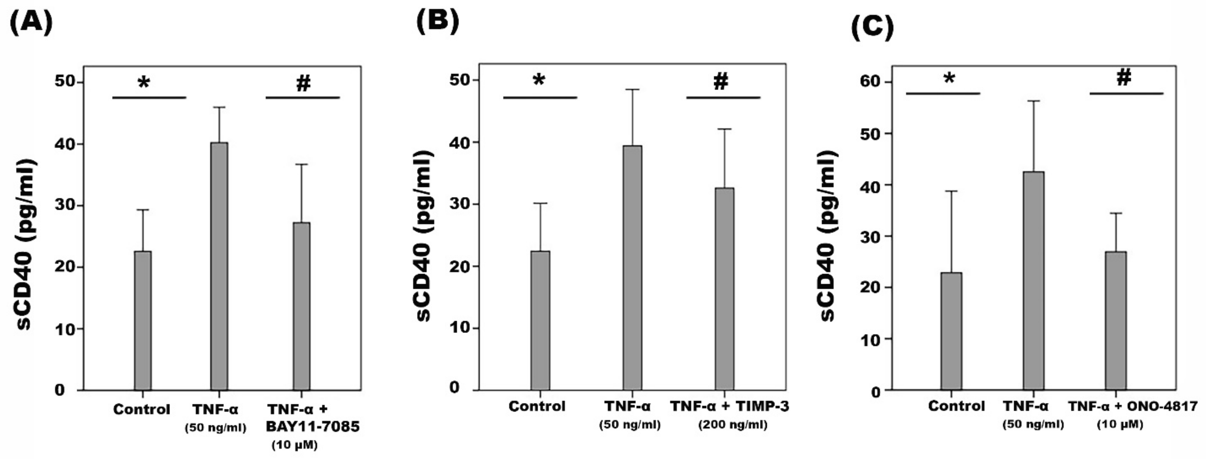 Ijms 24 15582 g012 Ijms 24 15582 g012
