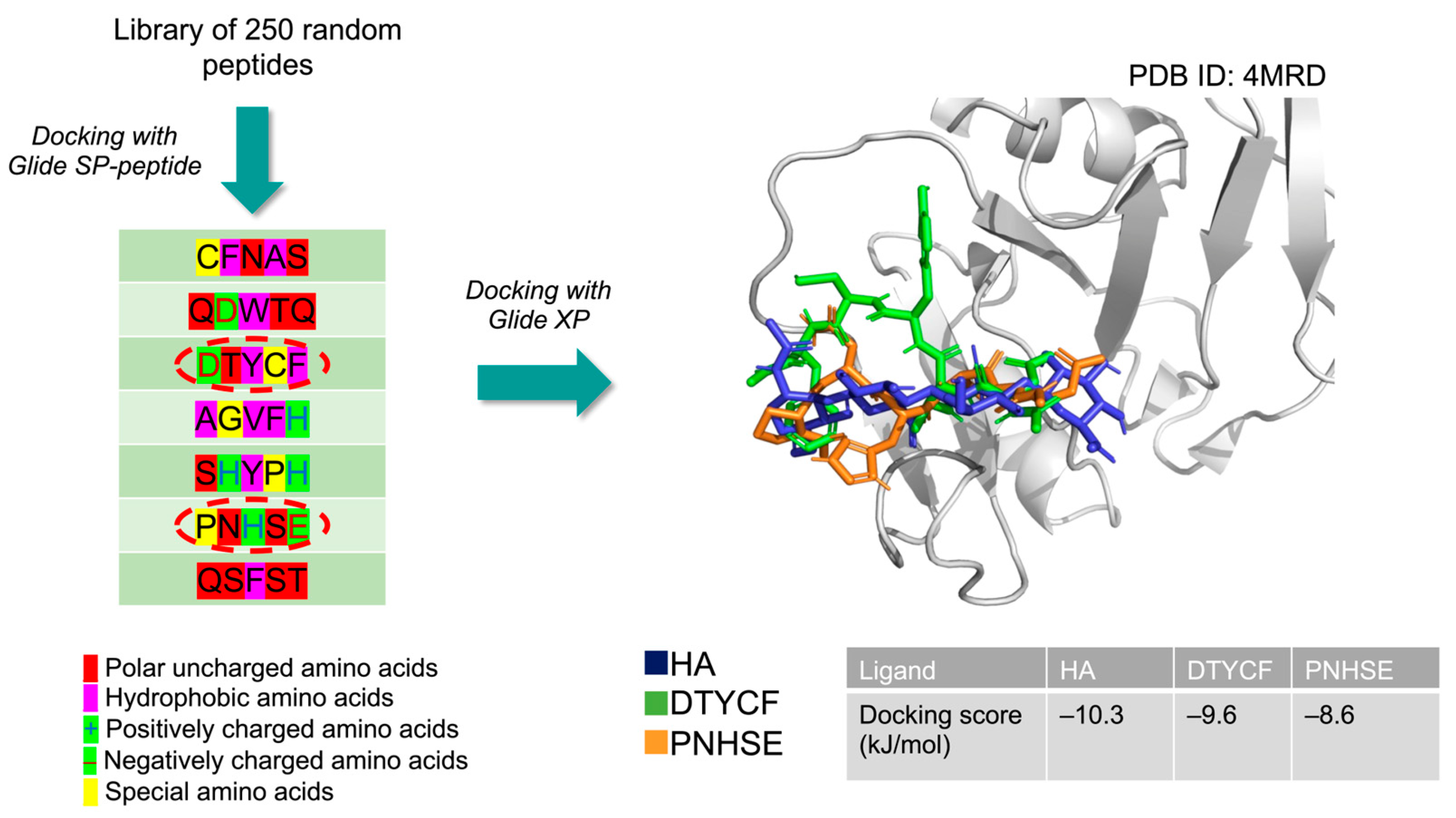 Ijms 24 15610 g002 Ijms 24 15610 g002