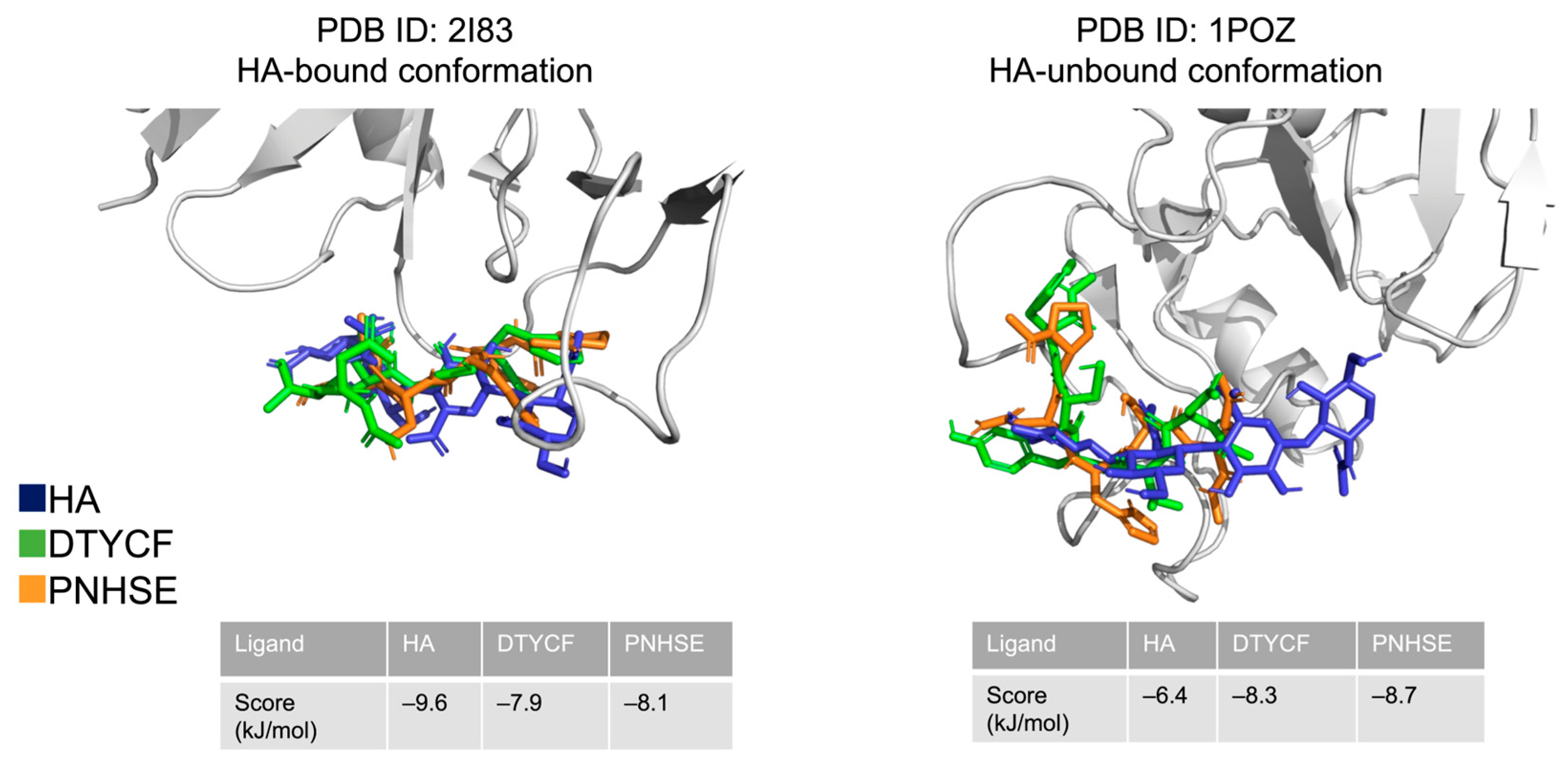 Ijms 24 15610 g003 Ijms 24 15610 g003