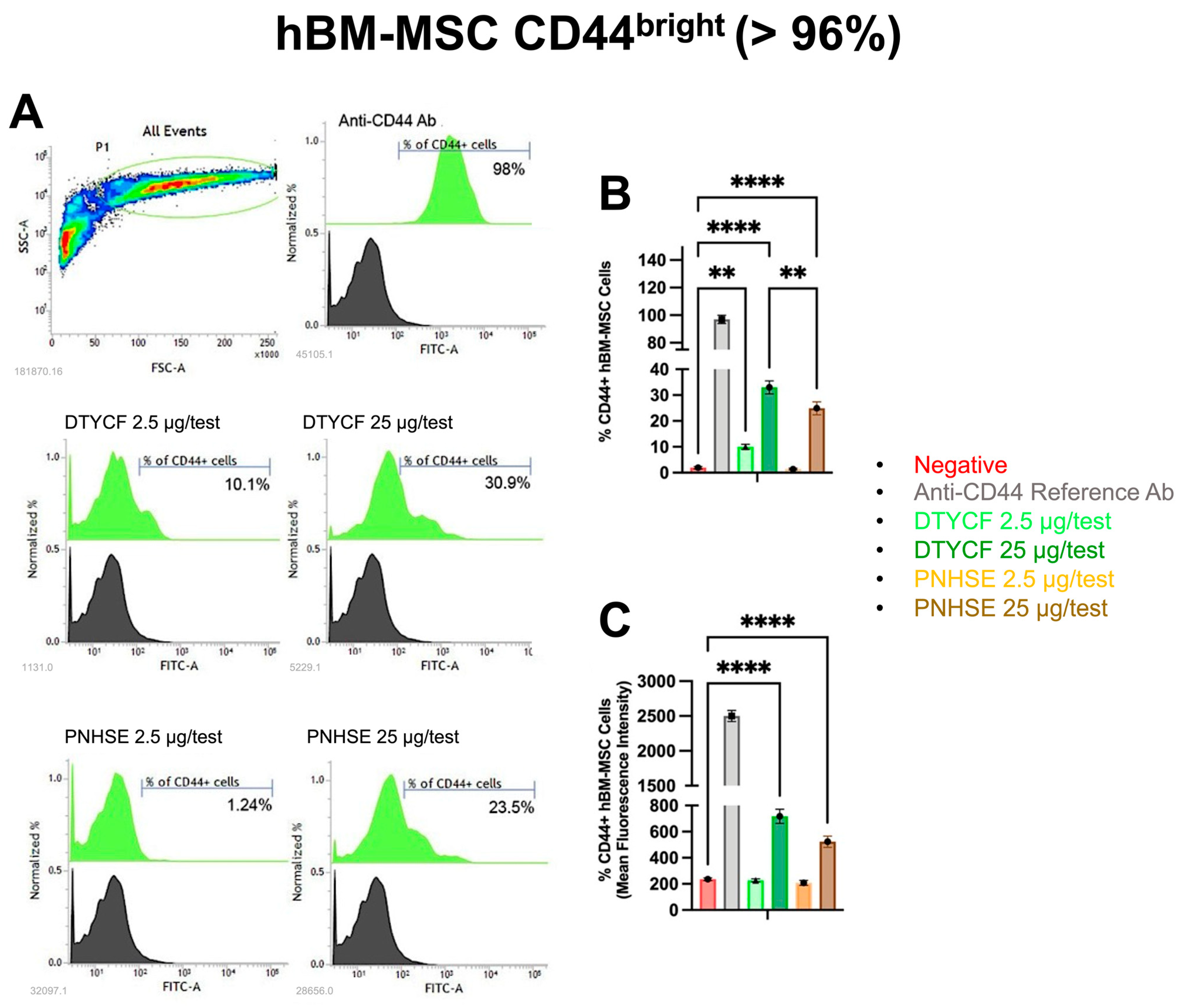 Ijms 24 15610 g007 Ijms 24 15610 g007