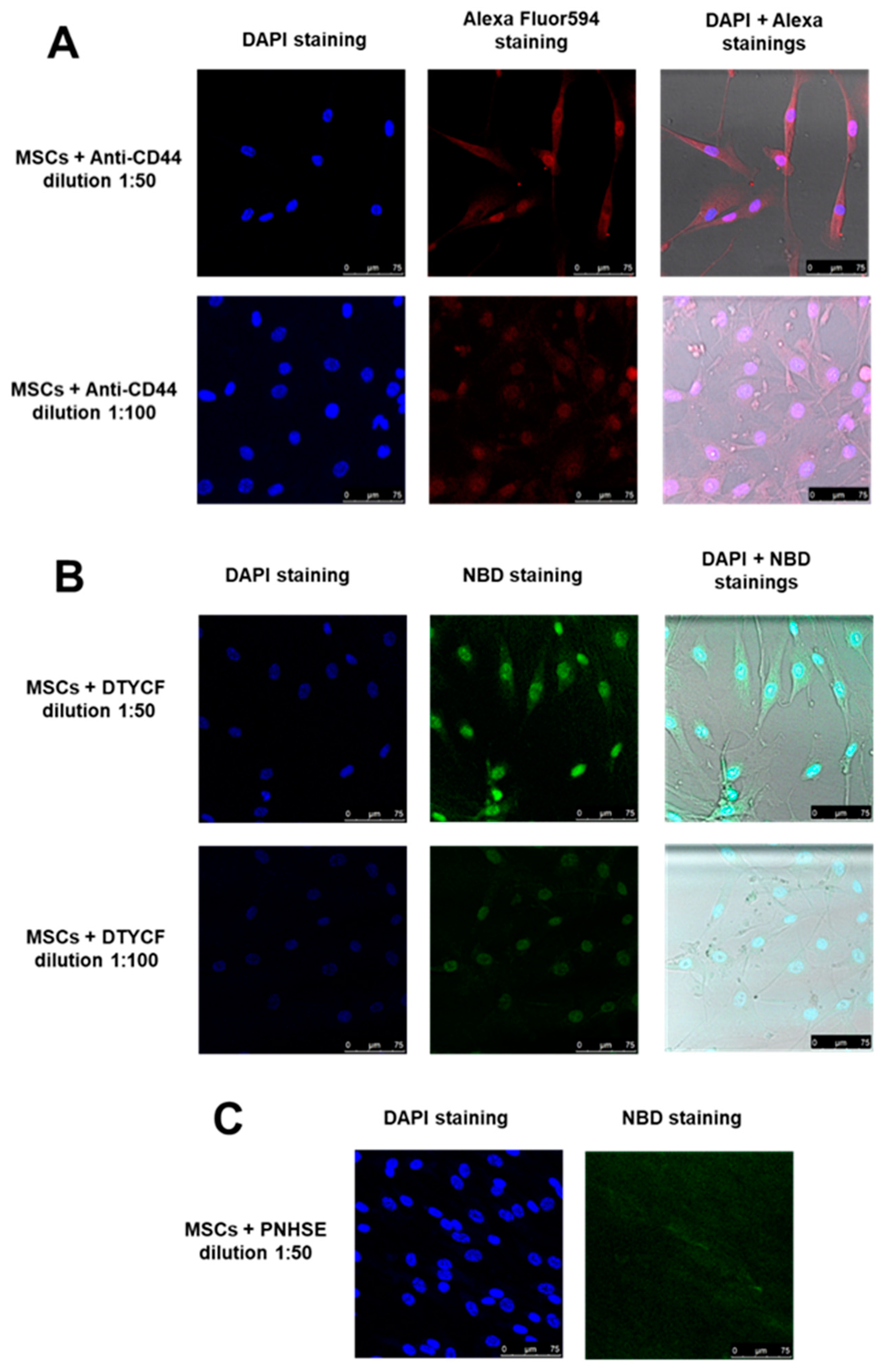 Ijms 24 15610 g008 Ijms 24 15610 g008