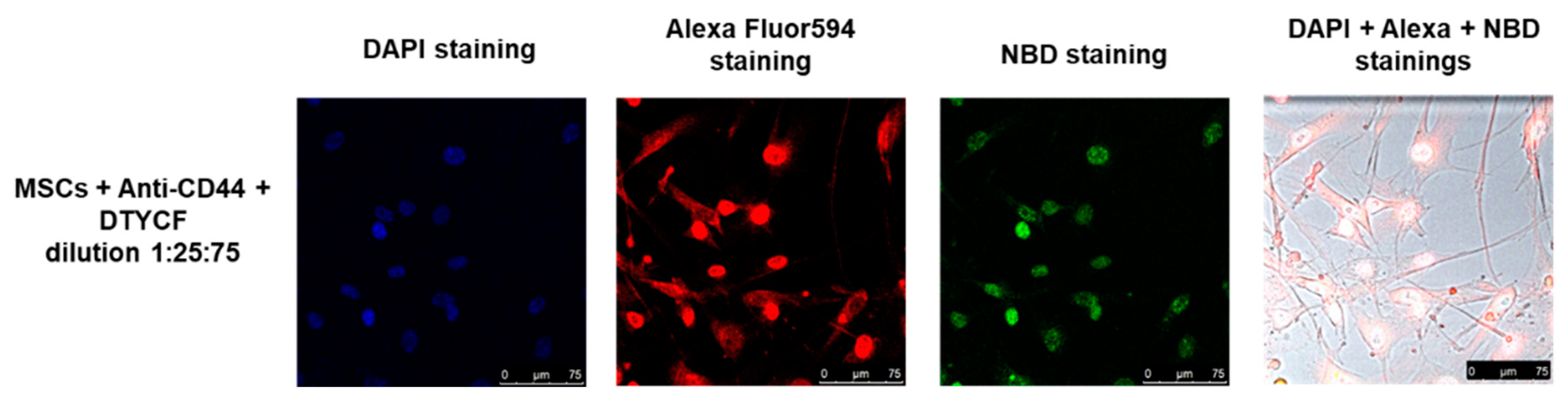 Ijms 24 15610 g009 Ijms 24 15610 g009