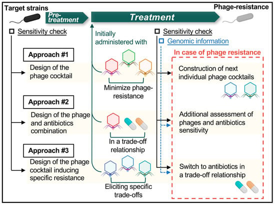 Antibiotic Sensitivities of the TolC Variants