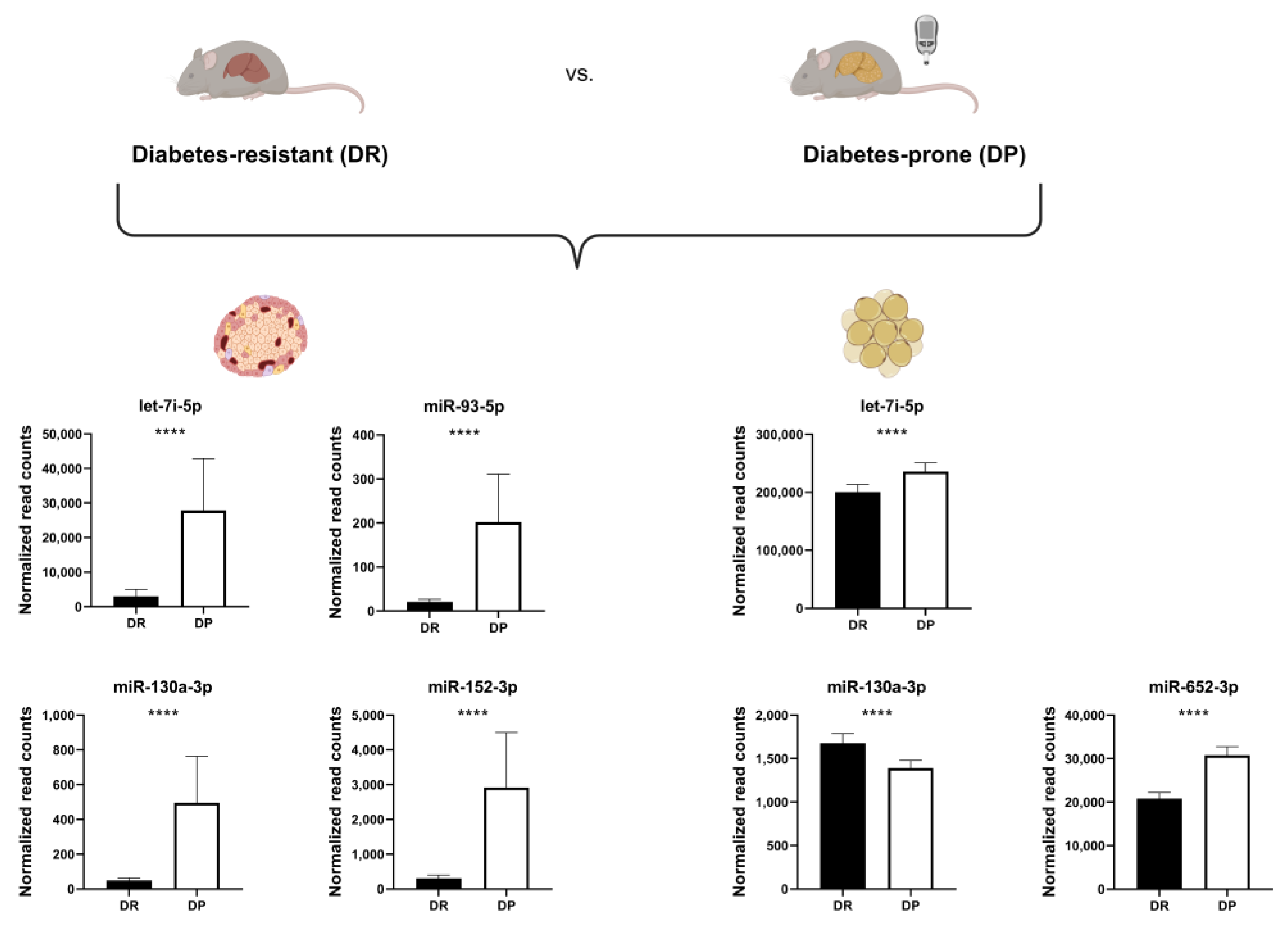 Ijms 24 15673 g002 Ijms 24 15673 g002