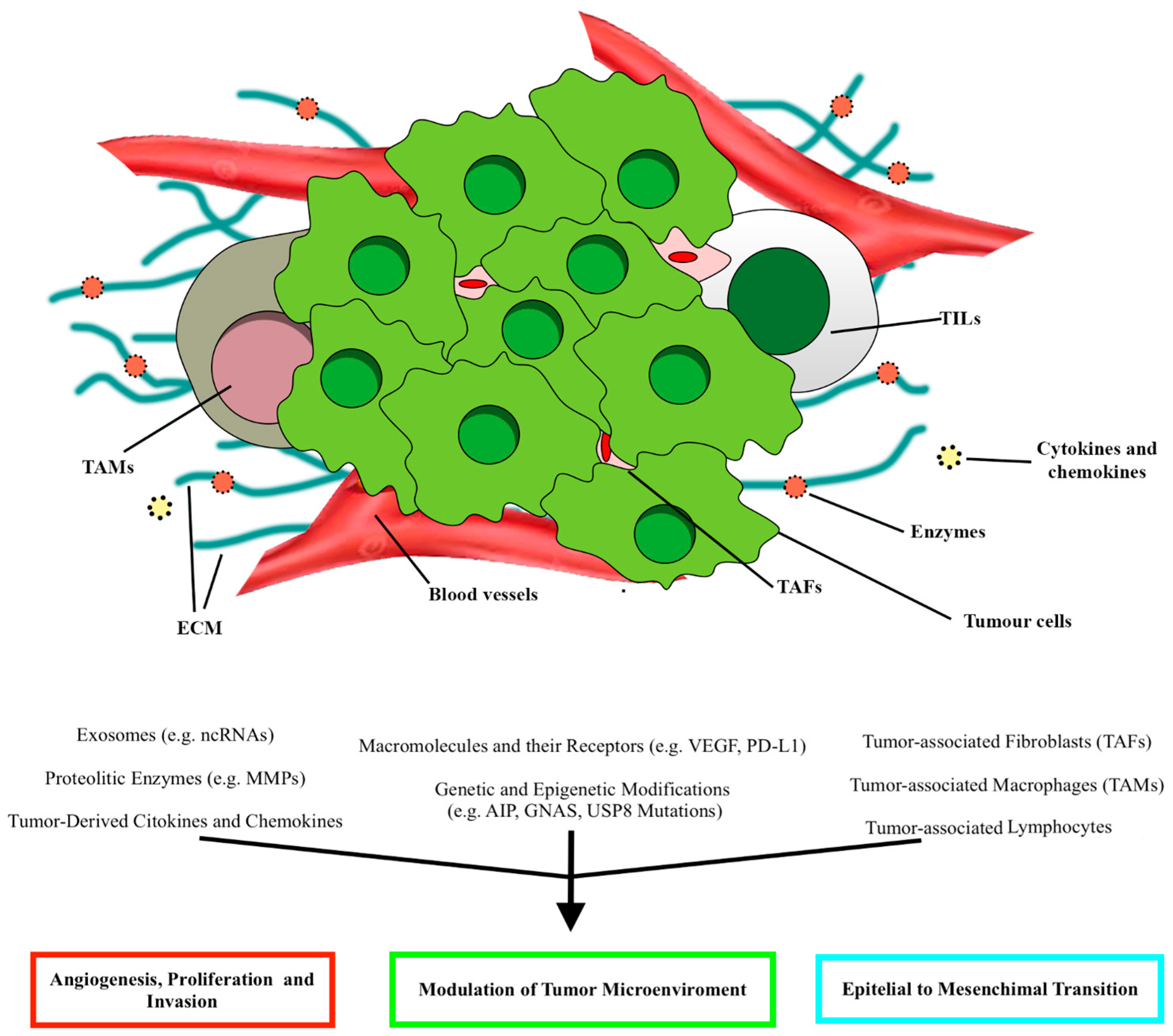 Ijms 24 15719 g002 Ijms 24 15719 g002
